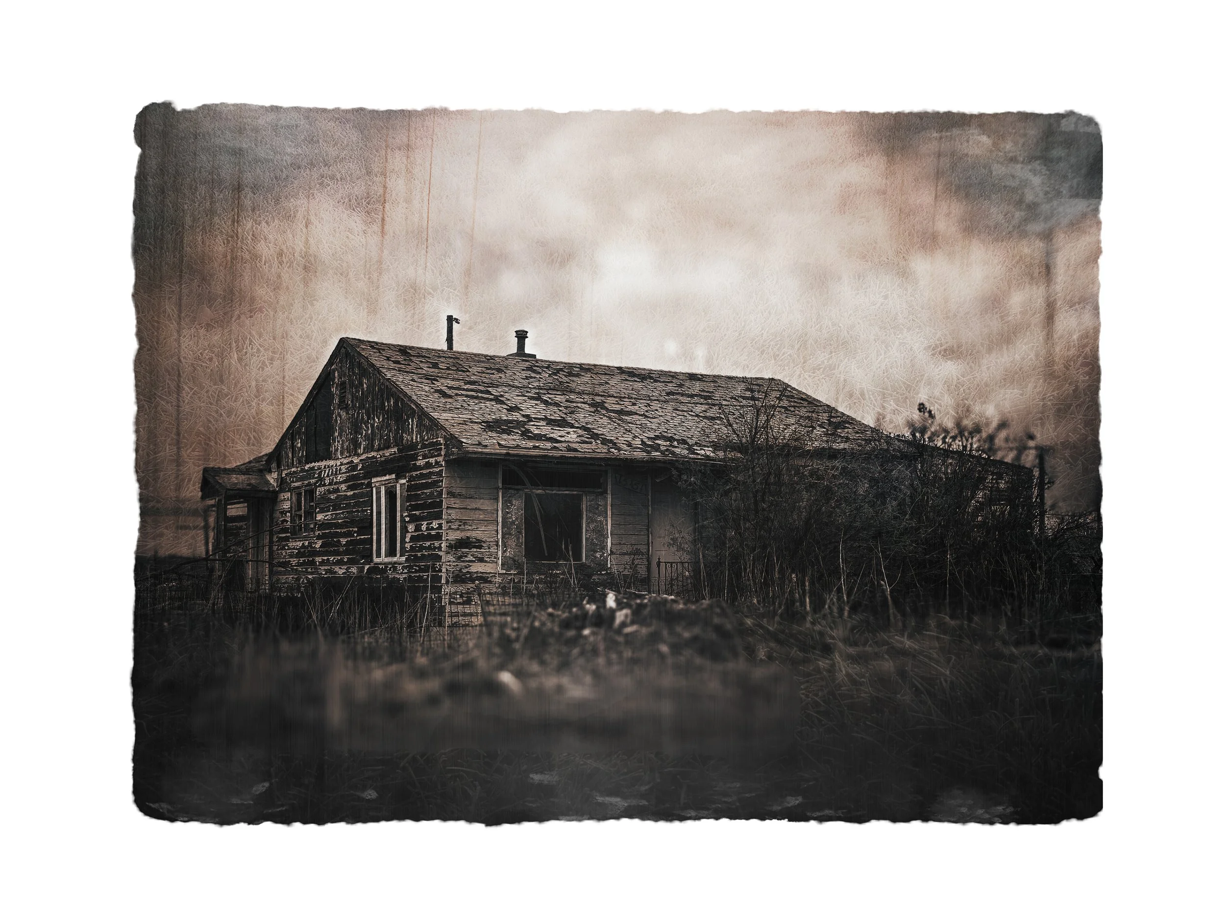 Remnants No. 3, Digital Archival Print, 16 × 12 inches, 2025, Shawn Loseke, Johnstown, Colorado, $250