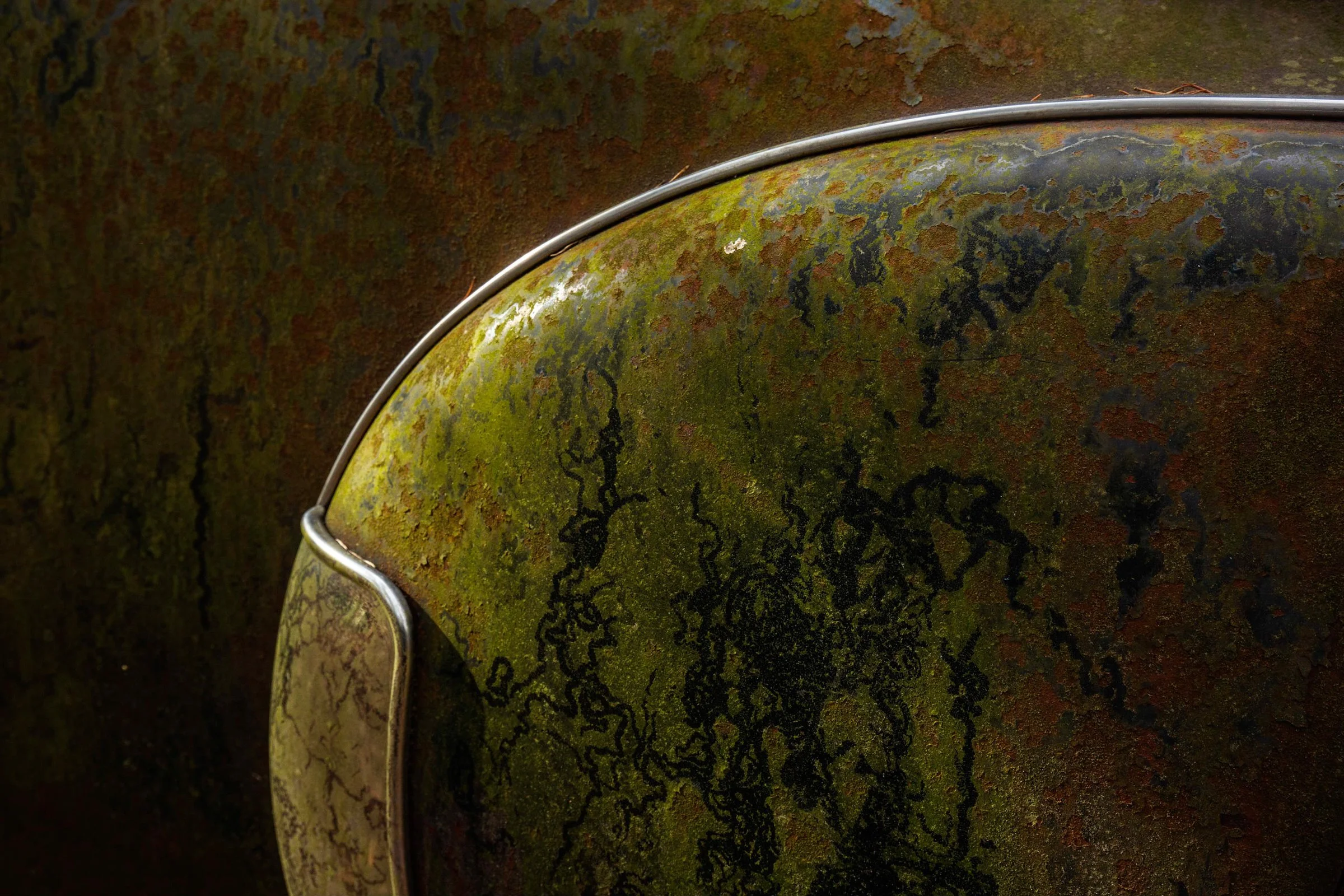 Veins, Archival pigment print, 12" x 18", 2019, $300, Danielle Austen, Hillsborough, New Jersey - (Juror's Choice)