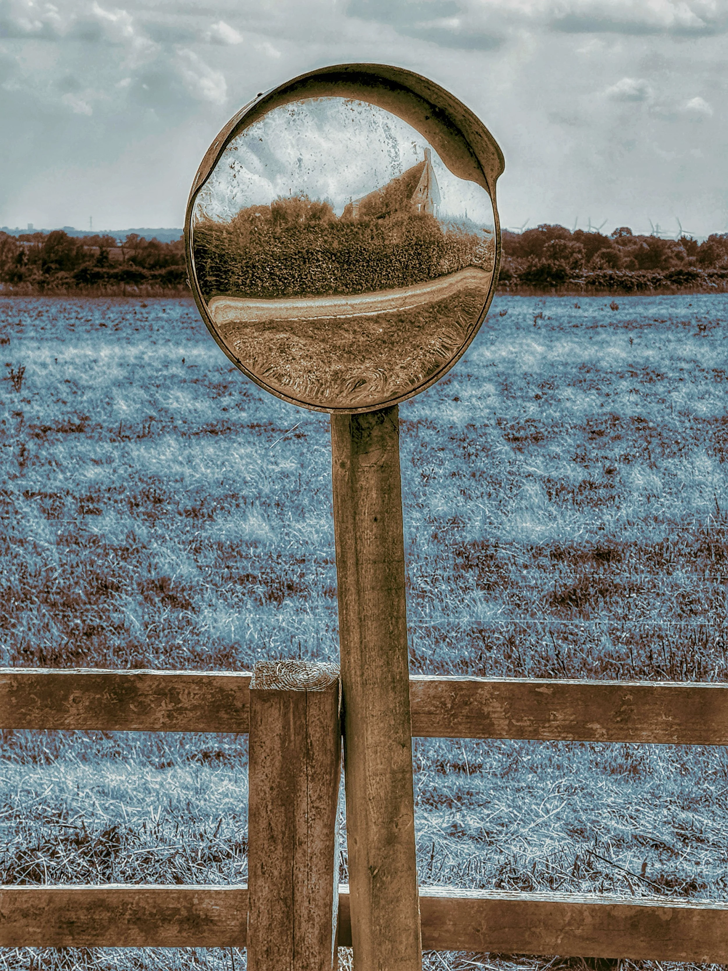 Stand Alone 3, Archival Print, 16 × 12 inches, 2025, Catherine Lee-Smith, London, England, United Kingdom, £250
