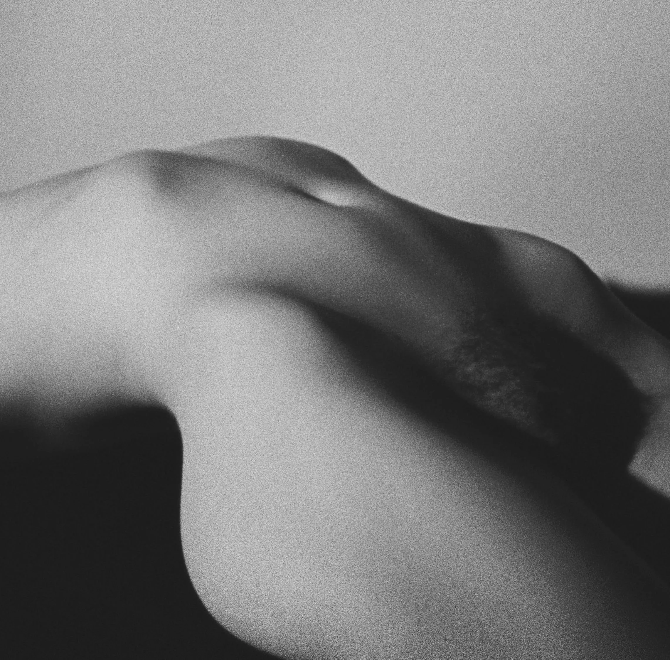 Shape & Form, silver gelatin print, 14 x 14 in, 2025, $1900, © Michael David Walrond, San Francisco, California