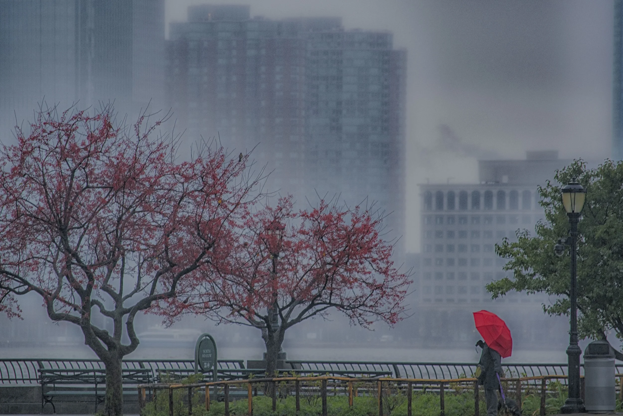 The Red Umbrella, archival print, 20 x 14 in, $600, 2018, © Peter J Robinson Jr., New York City, New York