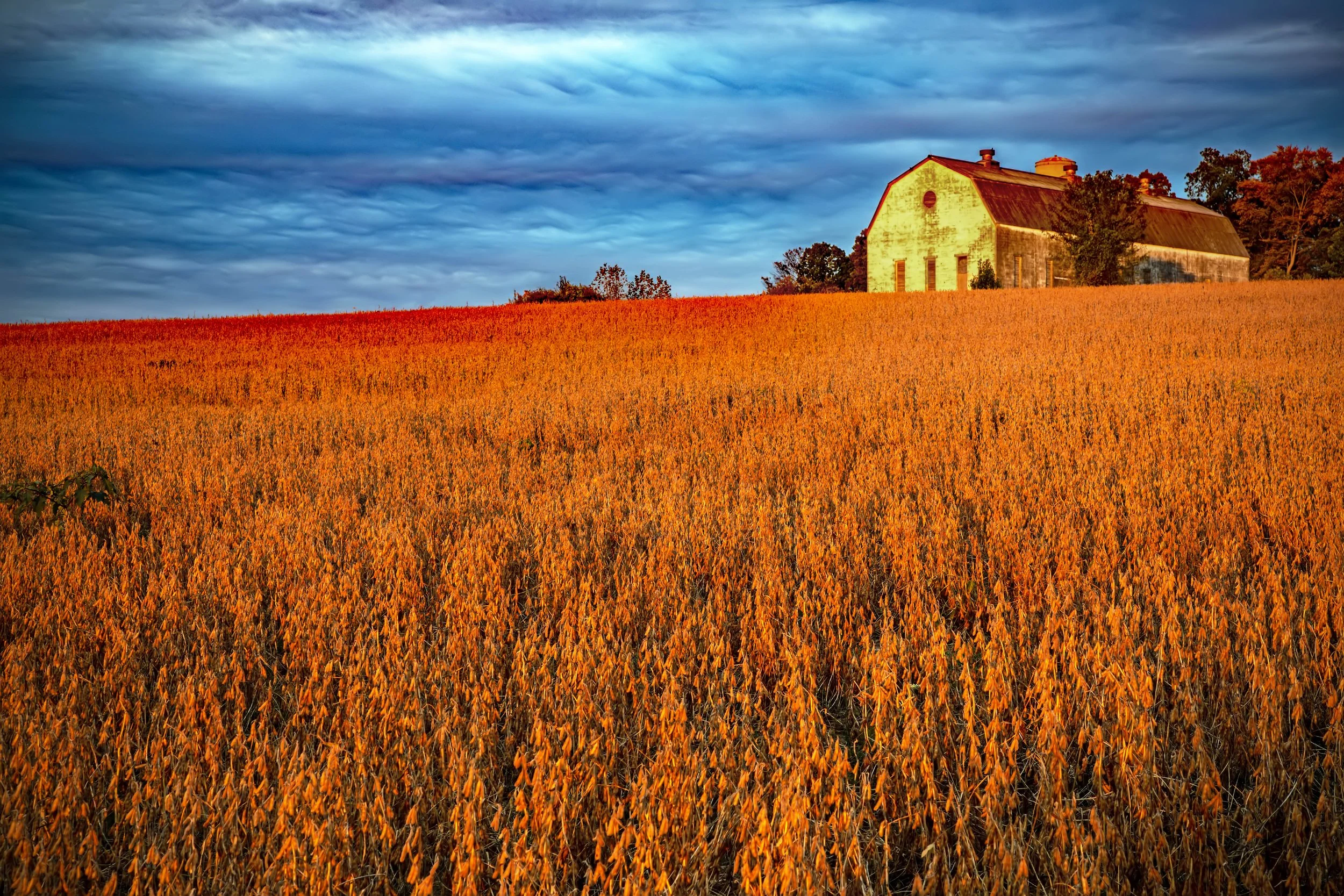 The Tempest, archival print, 12 x 18 in, 2025, $235, © Bob Debski, Lansdale, Pennsylvania