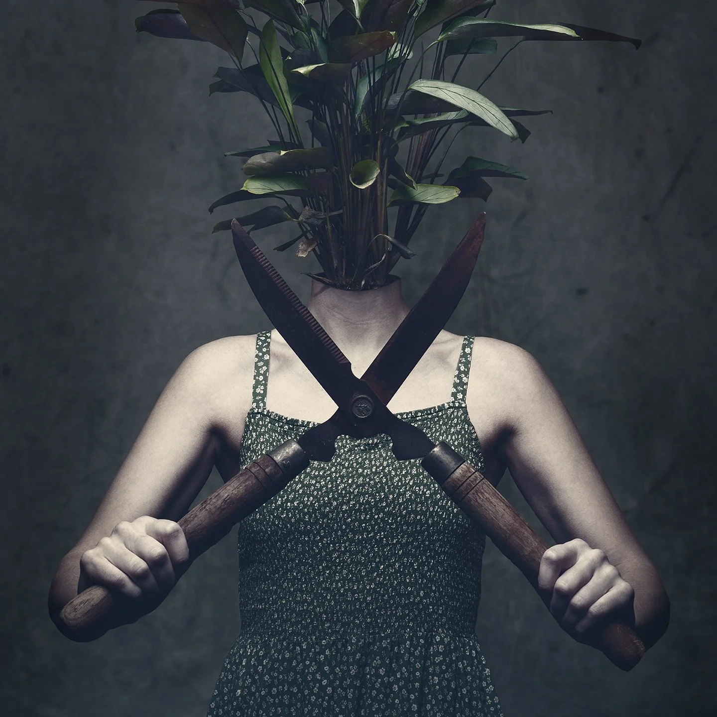 joseph_sharketti_Axon, Axoff_01.jpg