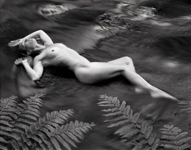 Ferns, archival print, 8 x 10 in, 2021, $350, © Dave White, Peterborough, New Hampshire