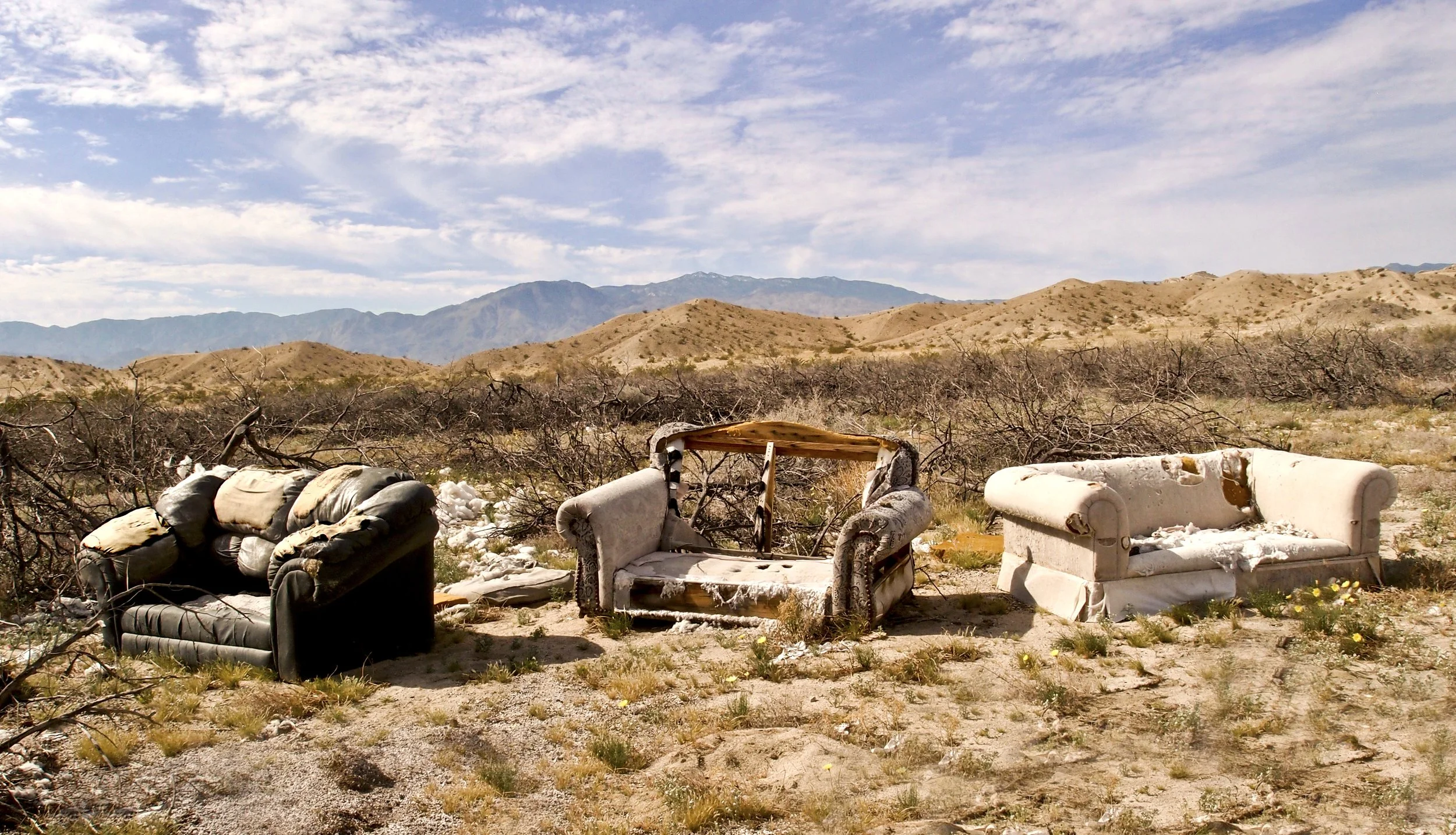 Three Sofas, Archival print, 20 x 14 in, 2023, $225, Linda Briskin, Toronto, Ontario, Canada