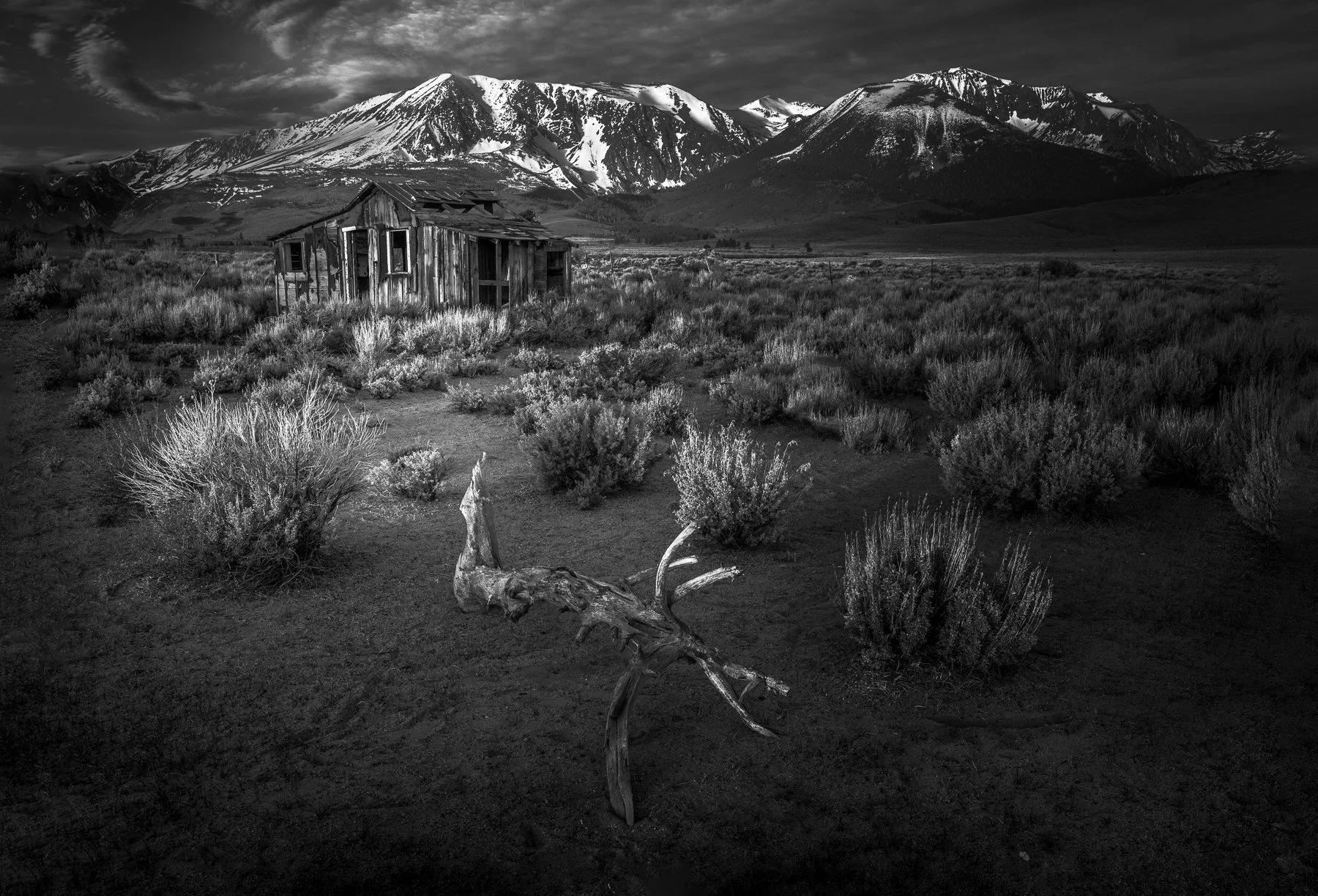 Lee Vining Dawn, Archival Print, 2018, Tim Bryan, Paso Robles, California, NFS
