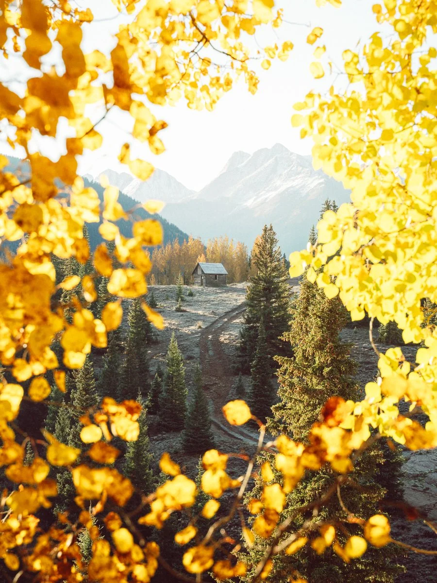 Cabin, archival print, 16 x 20 in, 2023, $250, © Josiah Hutchison, San Francisco, California