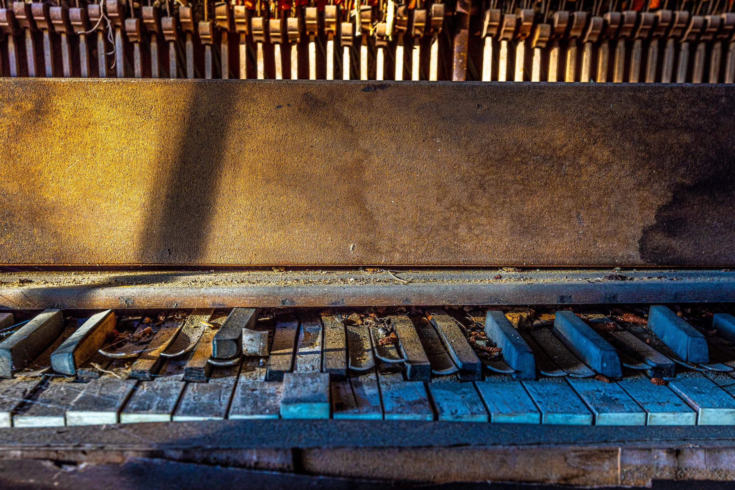 Remember the Music, Archival photo print, 30" x 20", 2022, $245, Joan Eckhardt, Okatie, South Carolina