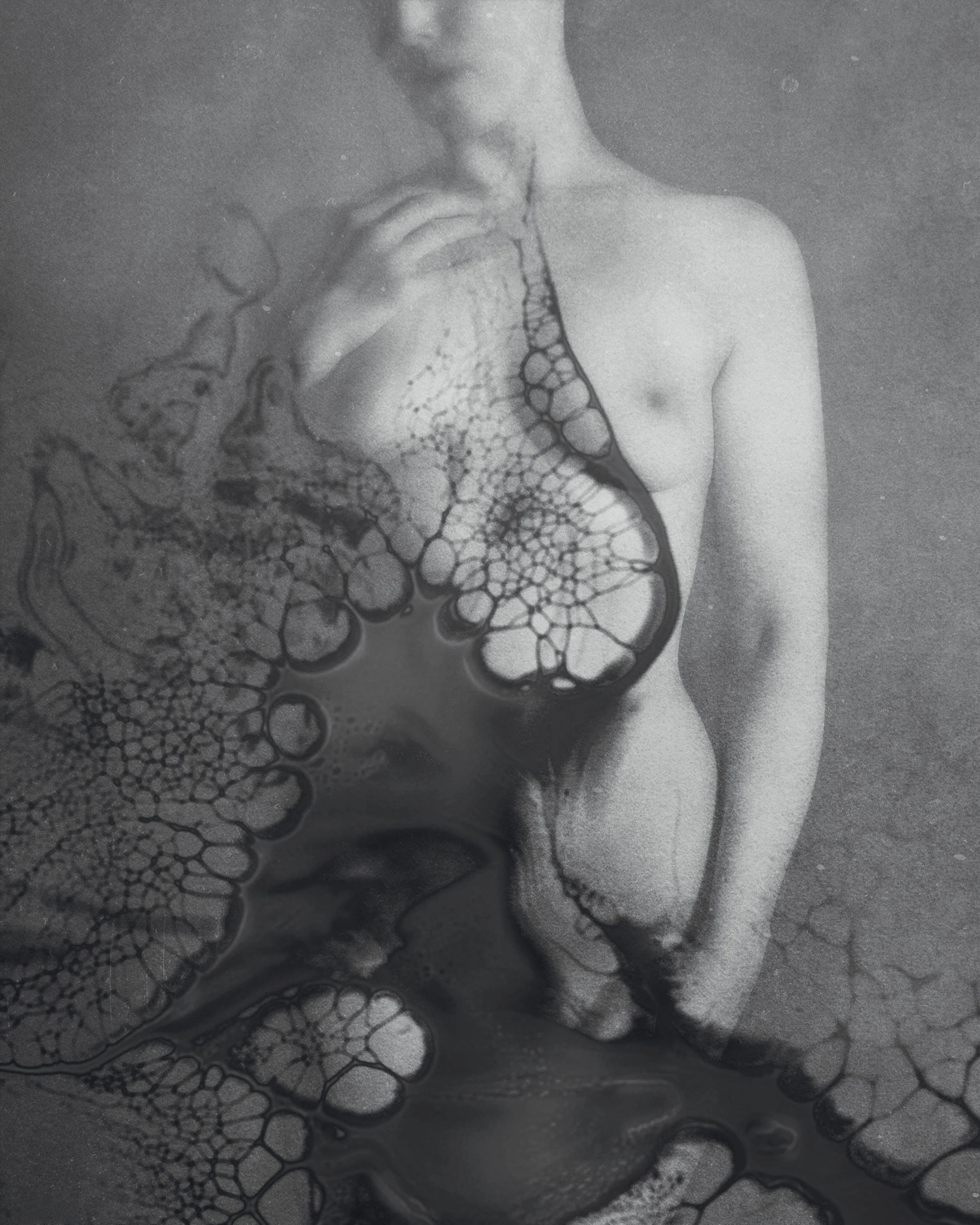 Tainted, archival print, 40 x 50 cm, 2025, £450, © Desiree Sydow, London, United Kingdom