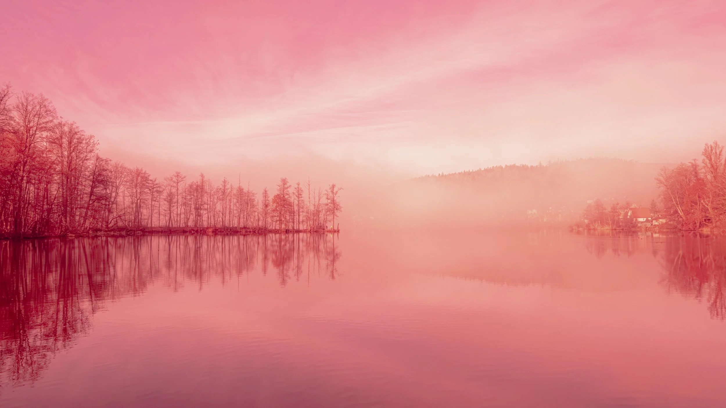 Pink Fog, canvas print, 60 x 35 cm, 2025, $350, © Svitlana Zinovieva, Plzeň, Czech Republic