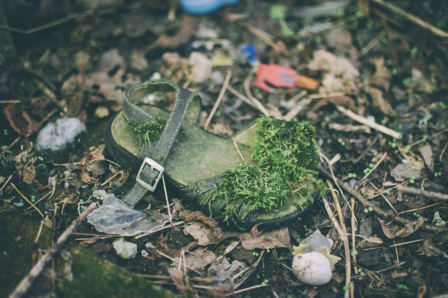 Growing Up, Archival photo print, 13" x 20", 2020, $250, Rebekah Alviani, Brevard, North Carolina