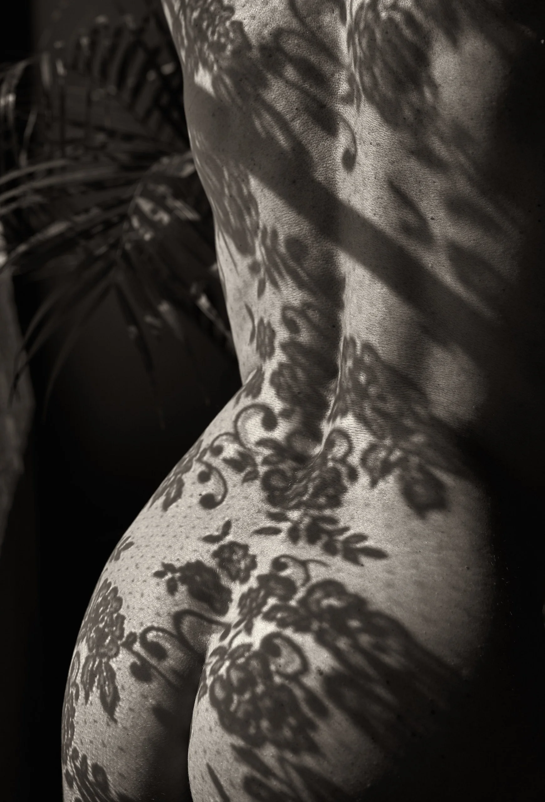 Dappled Shadow, archival print, 24 x 16 in, 2025, $750, © James Johnson, Norton Shores, Michigan