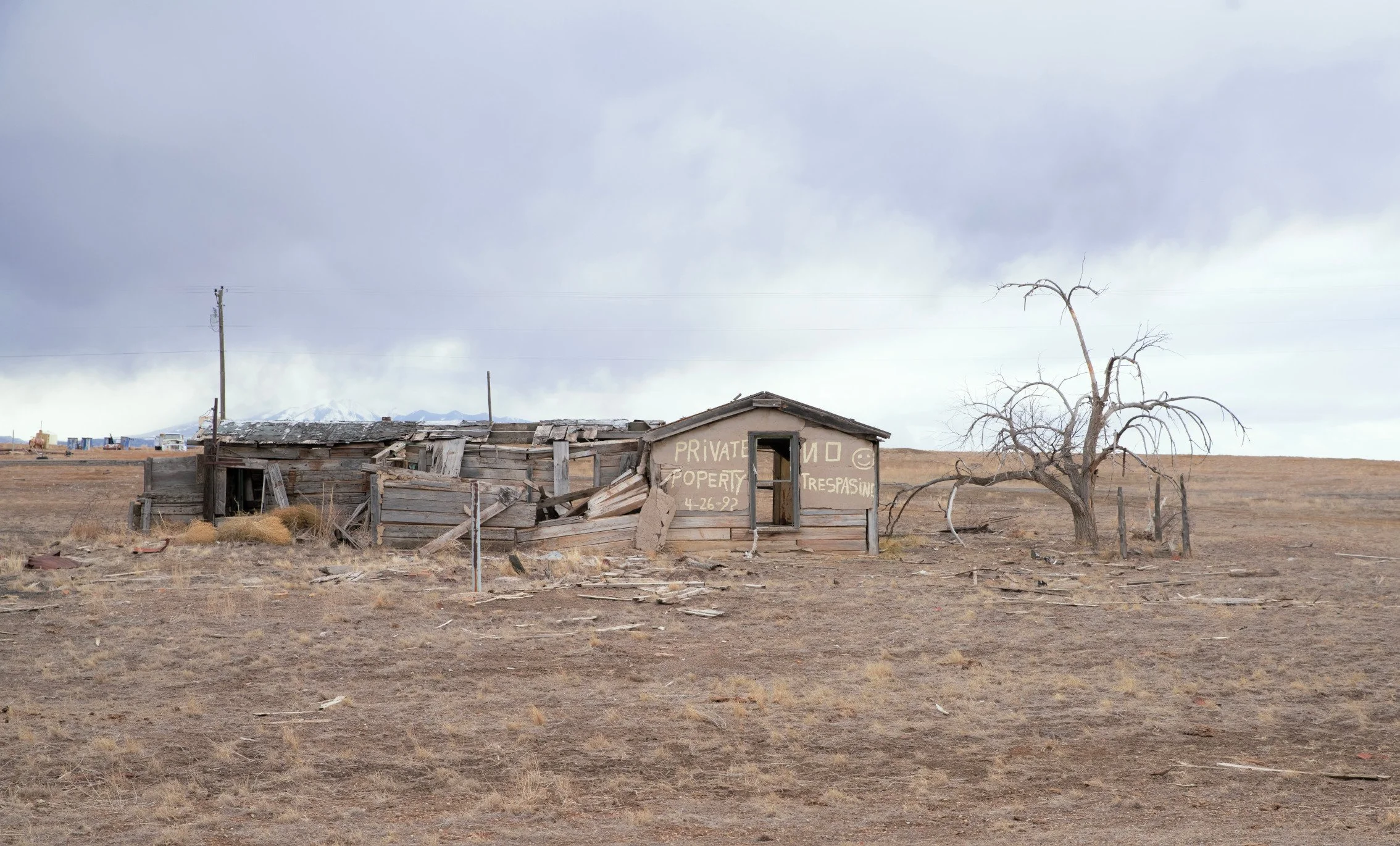 Cisco No. 3, archival print, 12 x 18 in, 2025, $300, Kelsey Sasser, Franklin, Tennessee