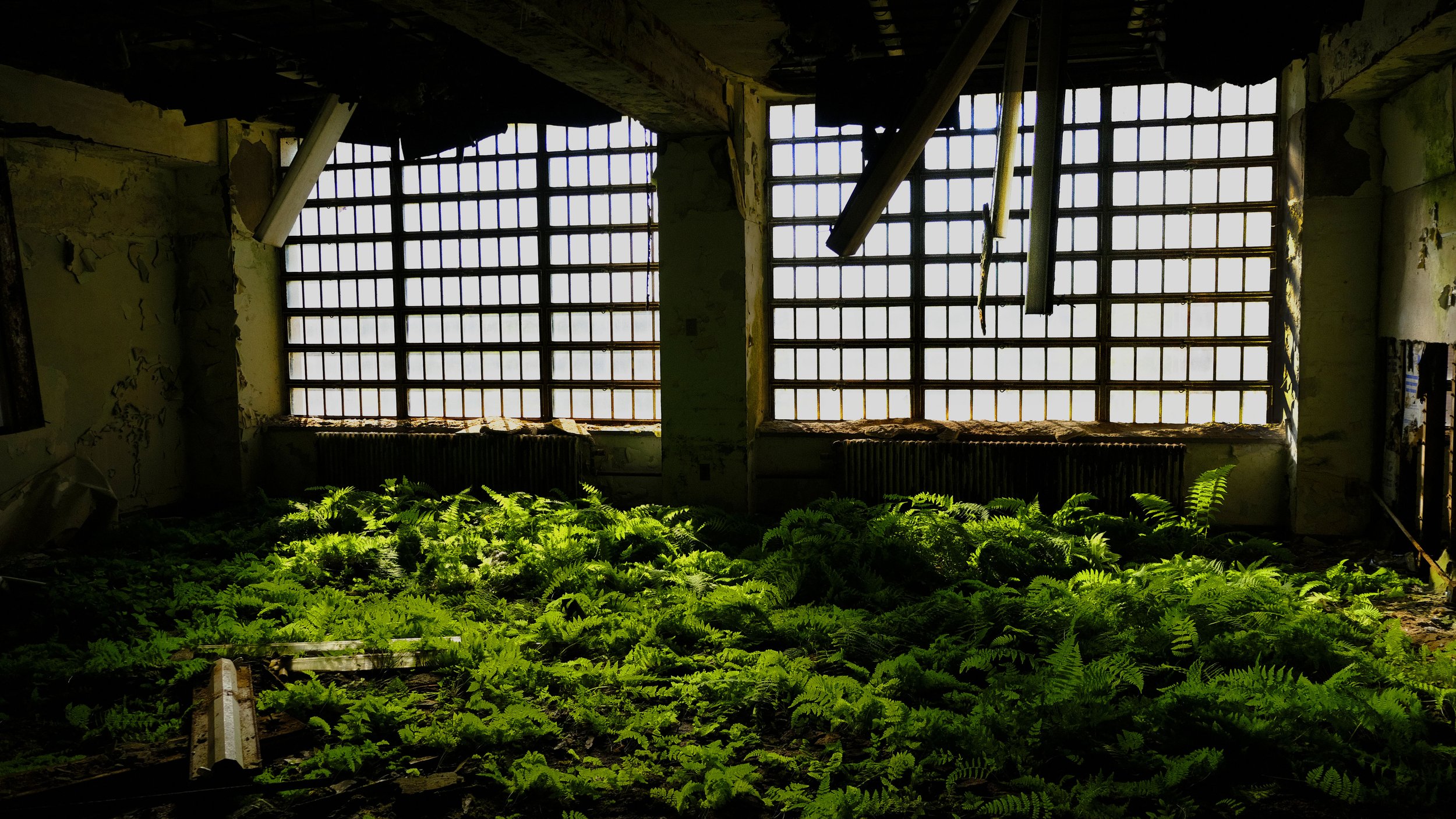 Blackrock Asylum, Archival Print, 16 × 9, 2025, Diego Antonio Allende, Spring, Texas, $150