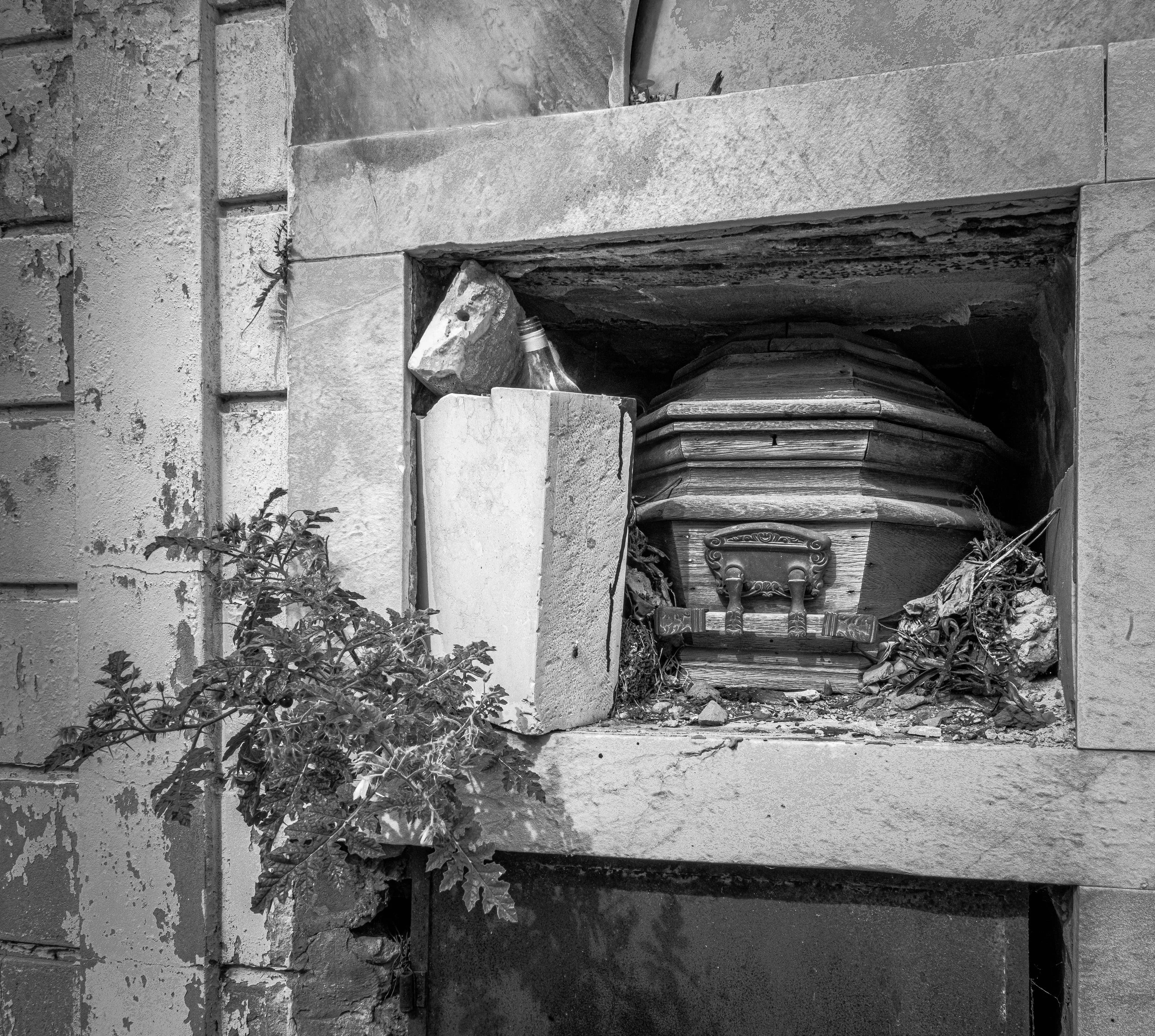 Decanted, archival print, 14 x 11 in, $400, 2025, © Wright Schickli, Palo Alto, California