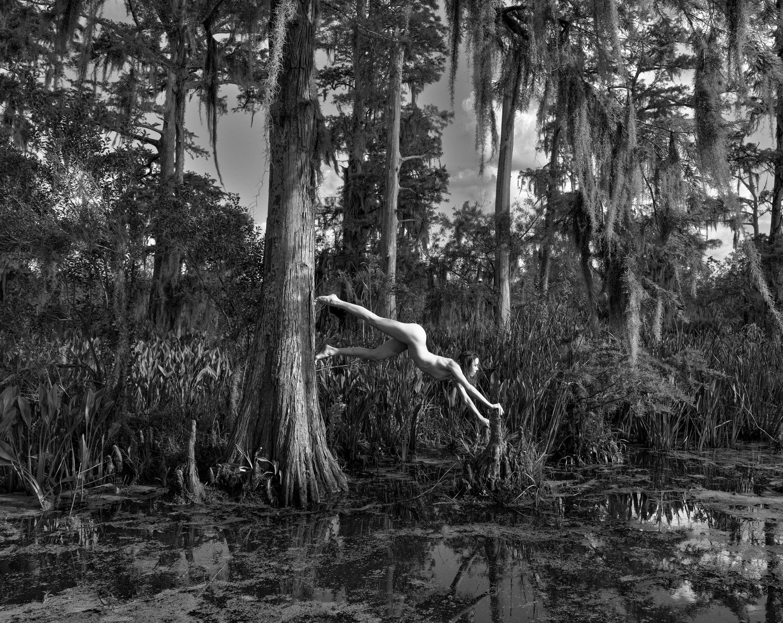 Bridging the Gap, archival print, 17.6 x 14 in, 2024, $850, © Lance Pressl, Deerfield, Illinois