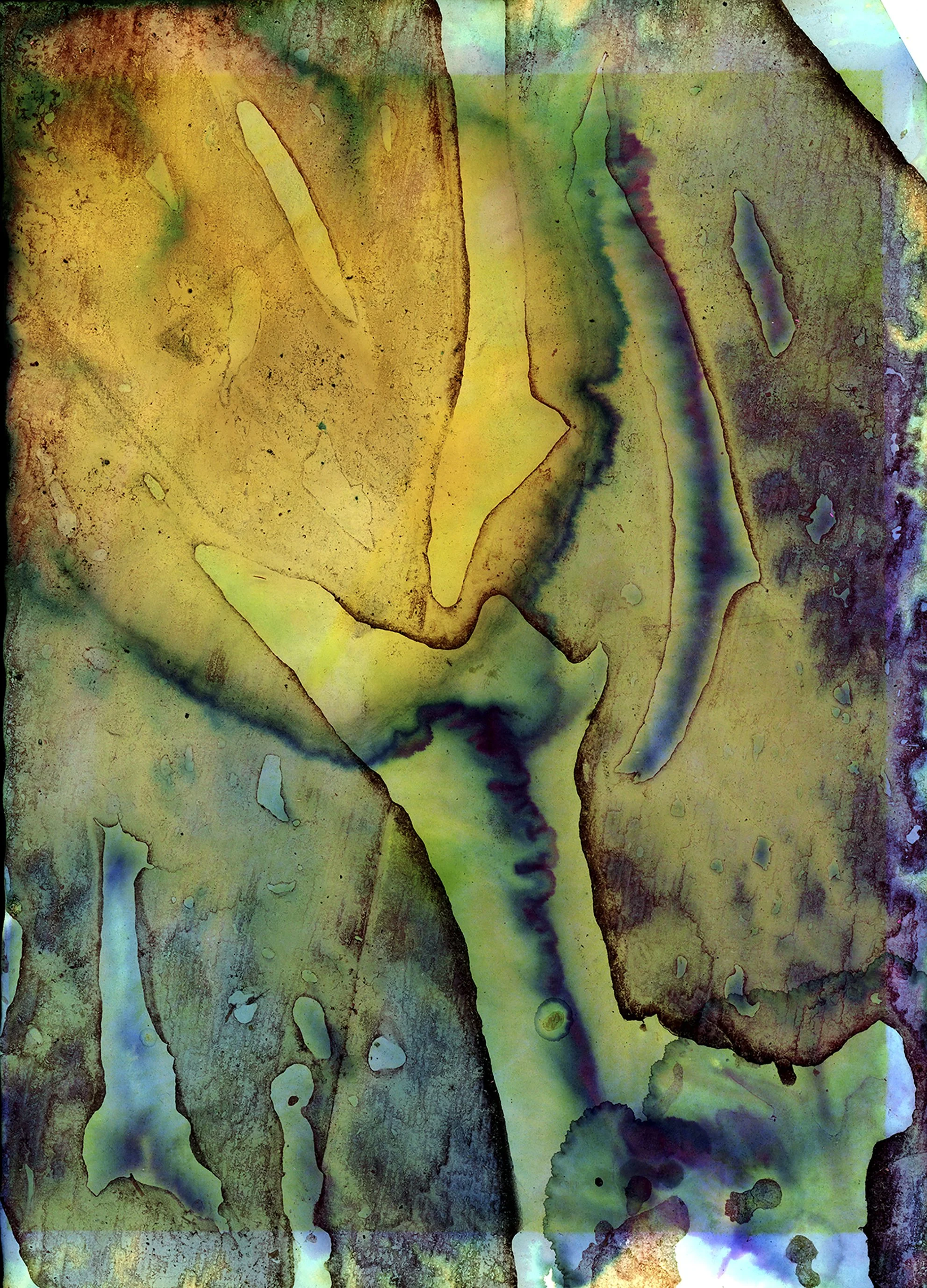 Photo Phlebotomy, Deconstructed inkjet print, 21 cm, x 29.7 cm, 2022, $2175, Joe Thacker, Brighton, East Sussex, United Kingdom