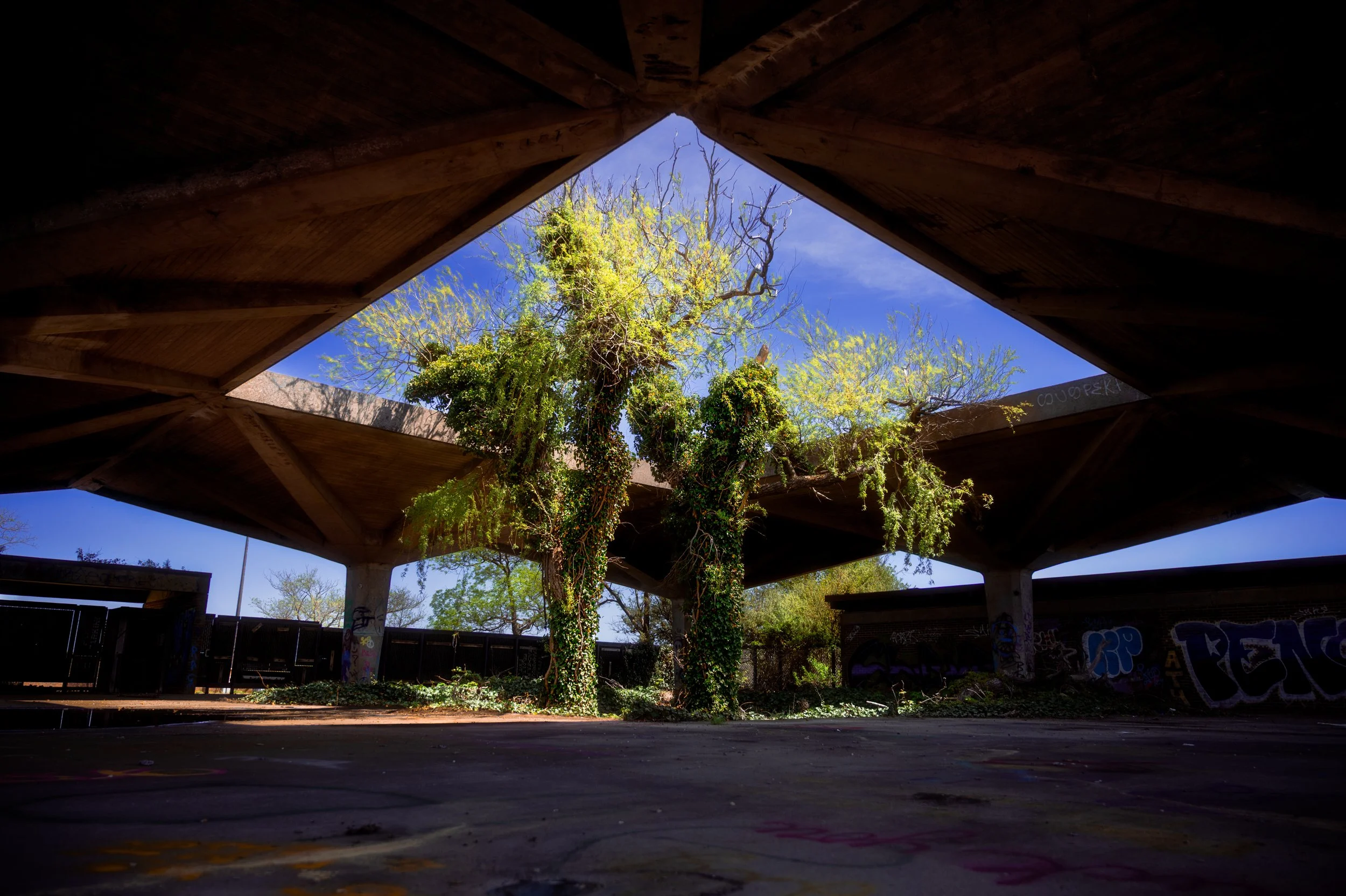 Exposure, archival print, 24 x 36 in, 2025, $800, Tom Fox, Smithtown, New York