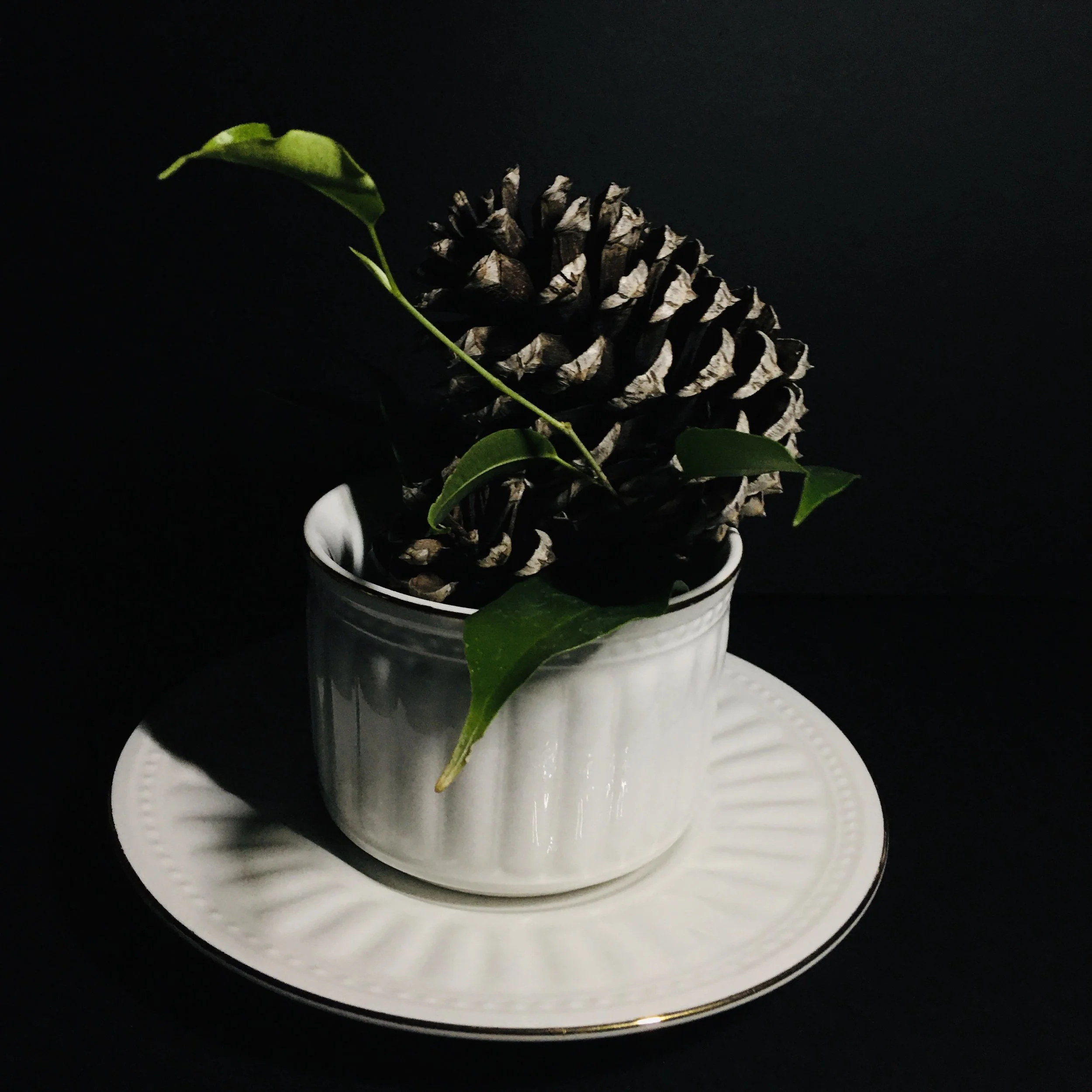 Fragile Balance, Archival photo print, 8in x 10in, 2022, Price: $50, Leslie Hall, Tahlequah, Oklahoma