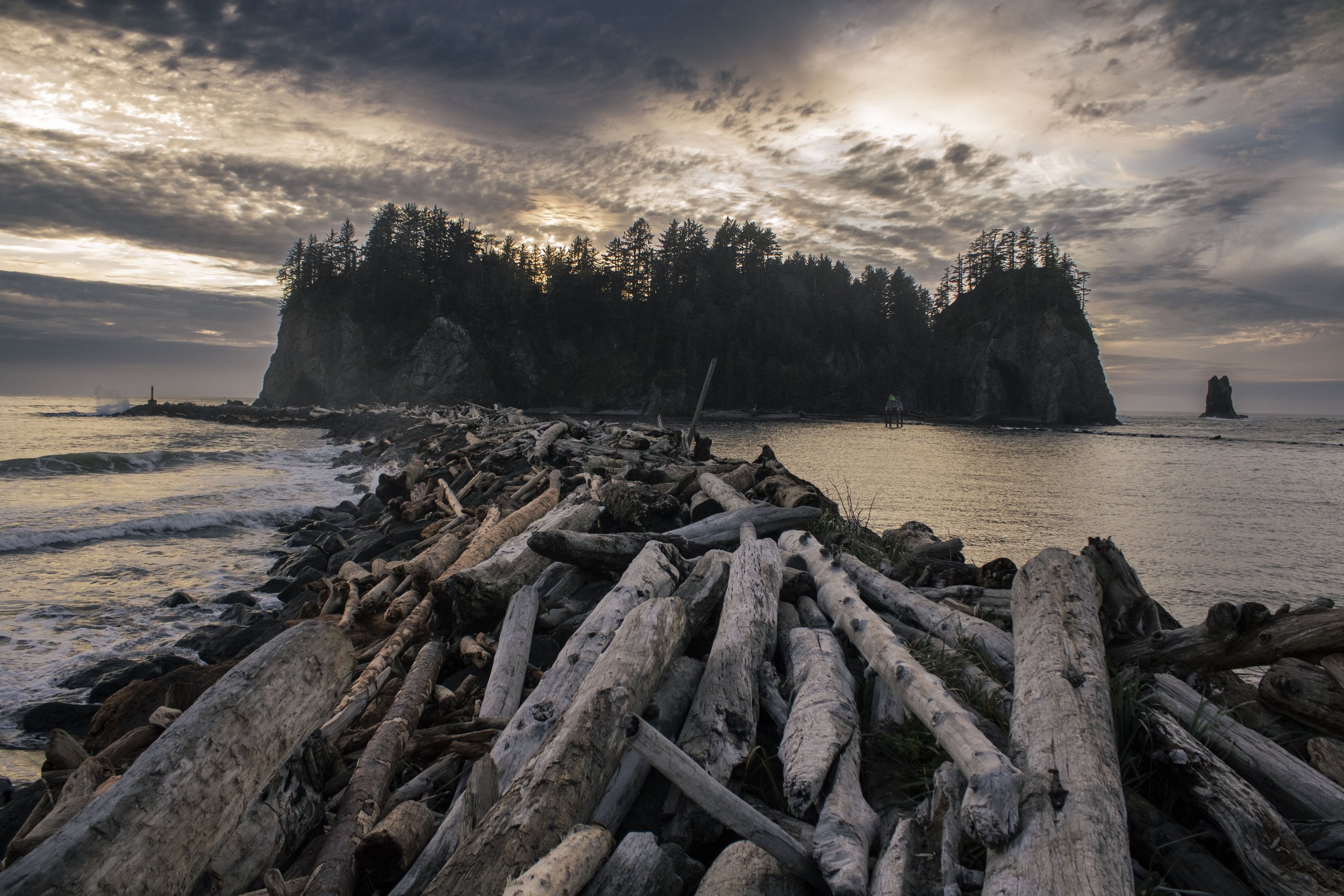 La Push, archival print, 50 × 34 cm, 2025, $100, © Davide Bellini, Rivoli, Italy