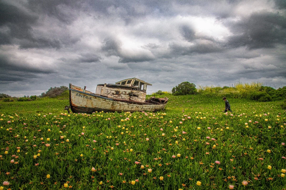 Dreamboat, Archival Print, 28 × 18 inches, 2026, Rusi Mchedlishvili, California, United States, $1,200