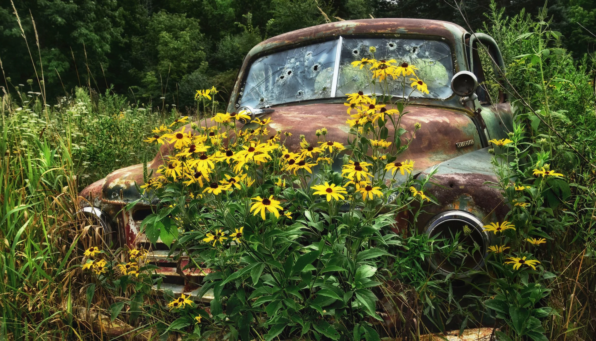 Natural Beauty, archival print, 24 x 14 in, 2023, $375, David Hanson, Sun Prairie, Wisconsin