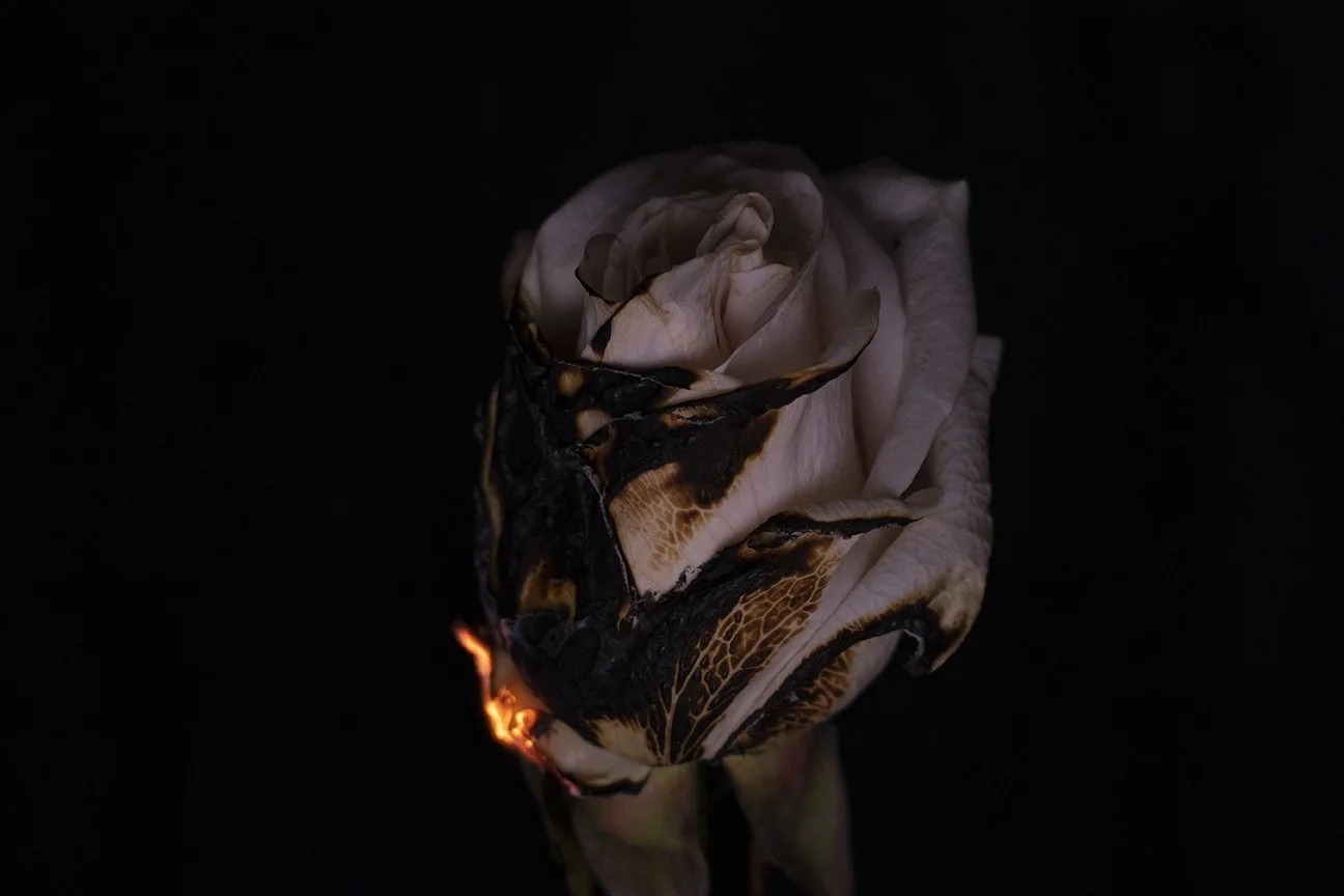 Eccedentesiant II, Archival photo print, 12" x 18", 2022, NFS, Reilly Callis, Brentwood, Tennessee