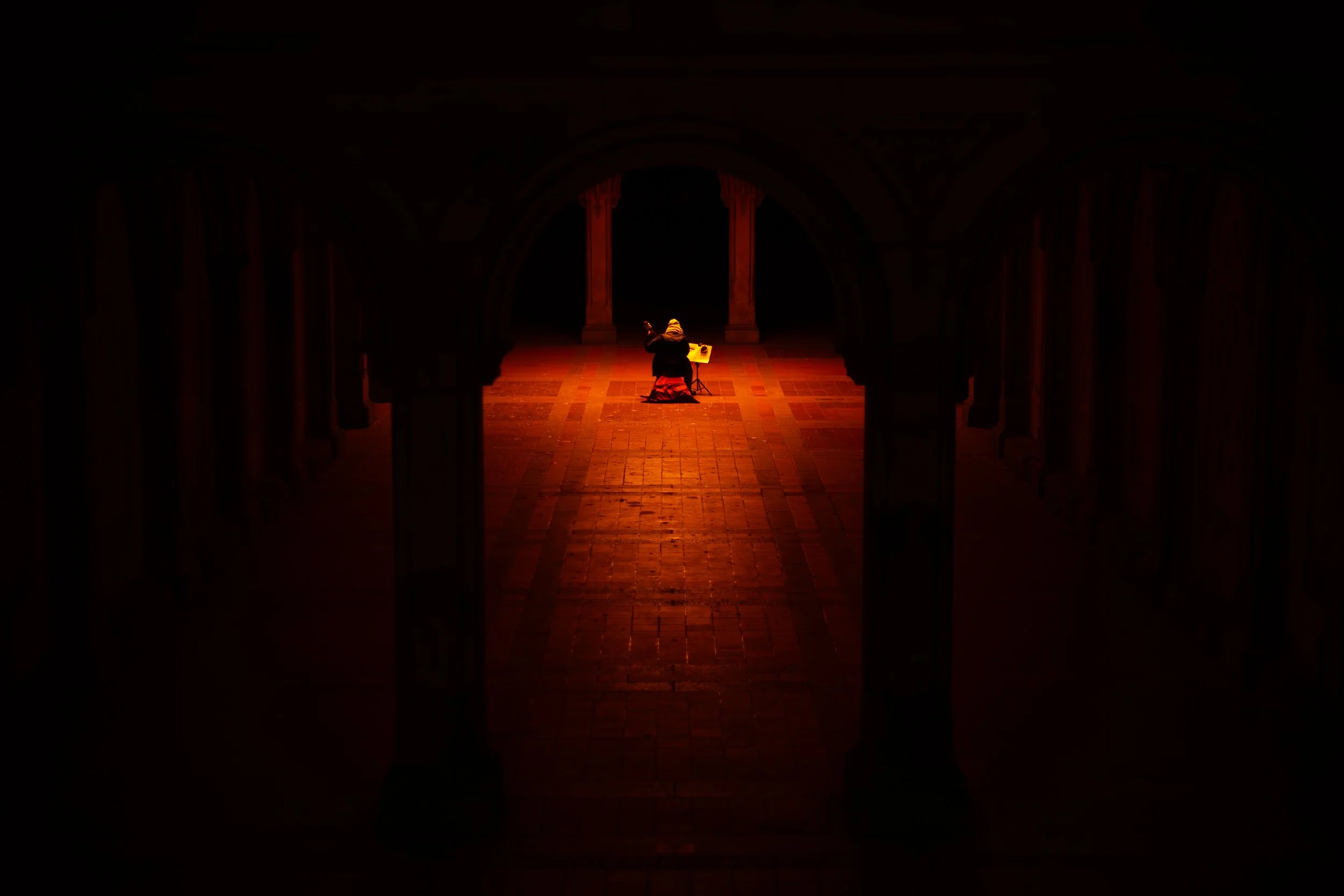 Bethesda Serenade, archival print, NFS, 2025, © Dominic Rasini, New York City, New York