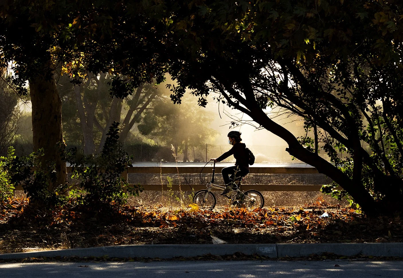 Joy Ride, digital print, 13.46 x 19.53 in, $1500, 2020, © Rajan Dosaj, Van Nuys, California