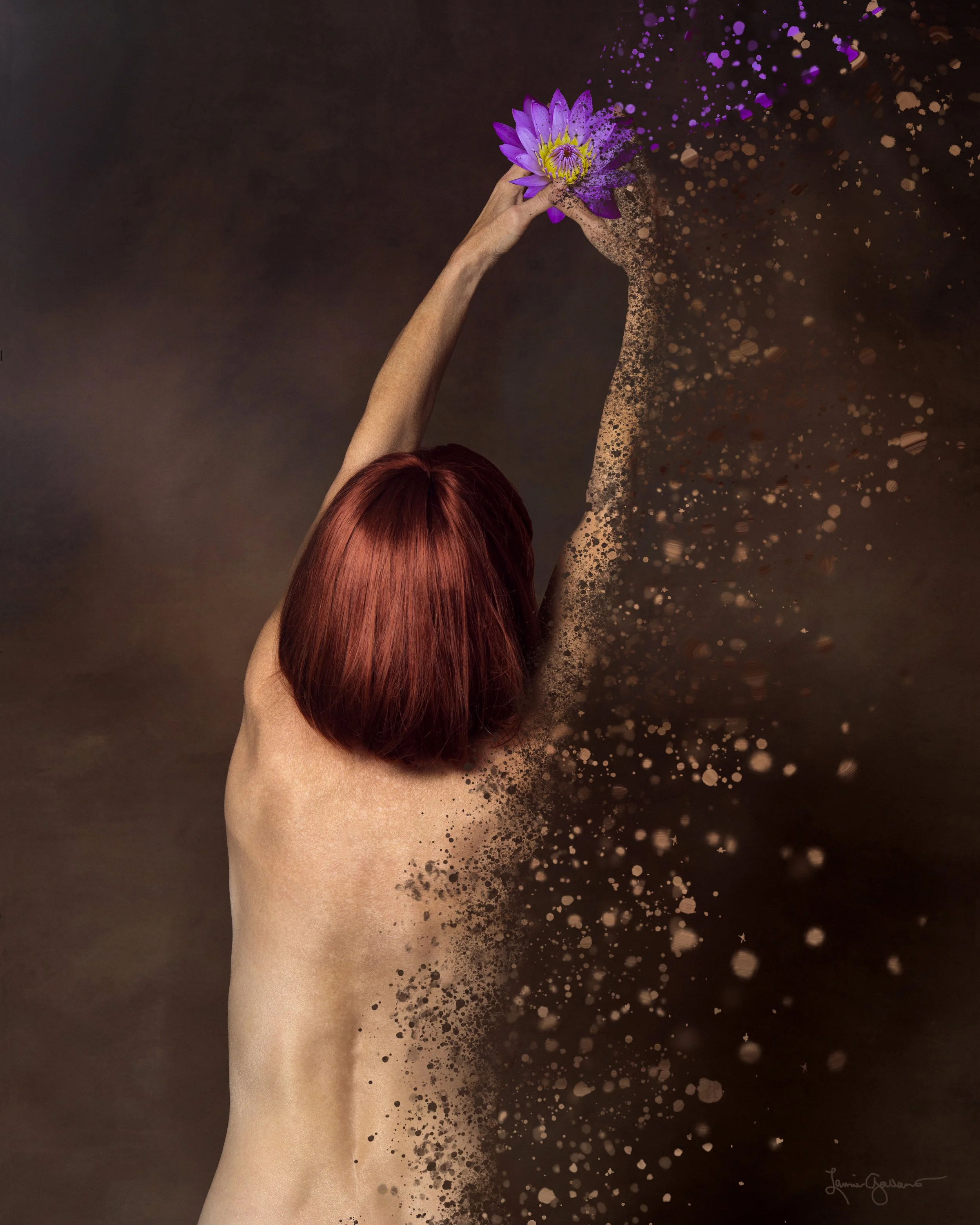 The Lotus Flower by Laurie Gallant