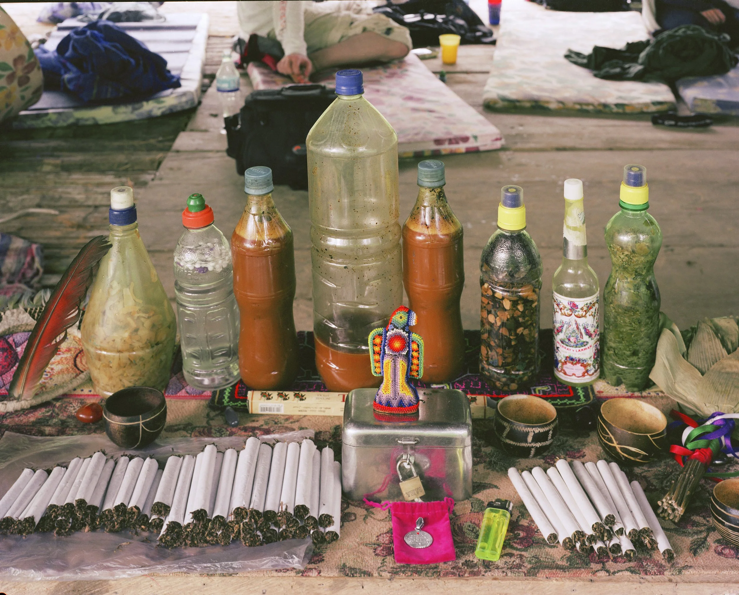 Percy's Ayahuasca Altar, archival print, 24 x 30 in, 2006, $1200, © Vance Gellert, Minneapolis, Minnesota