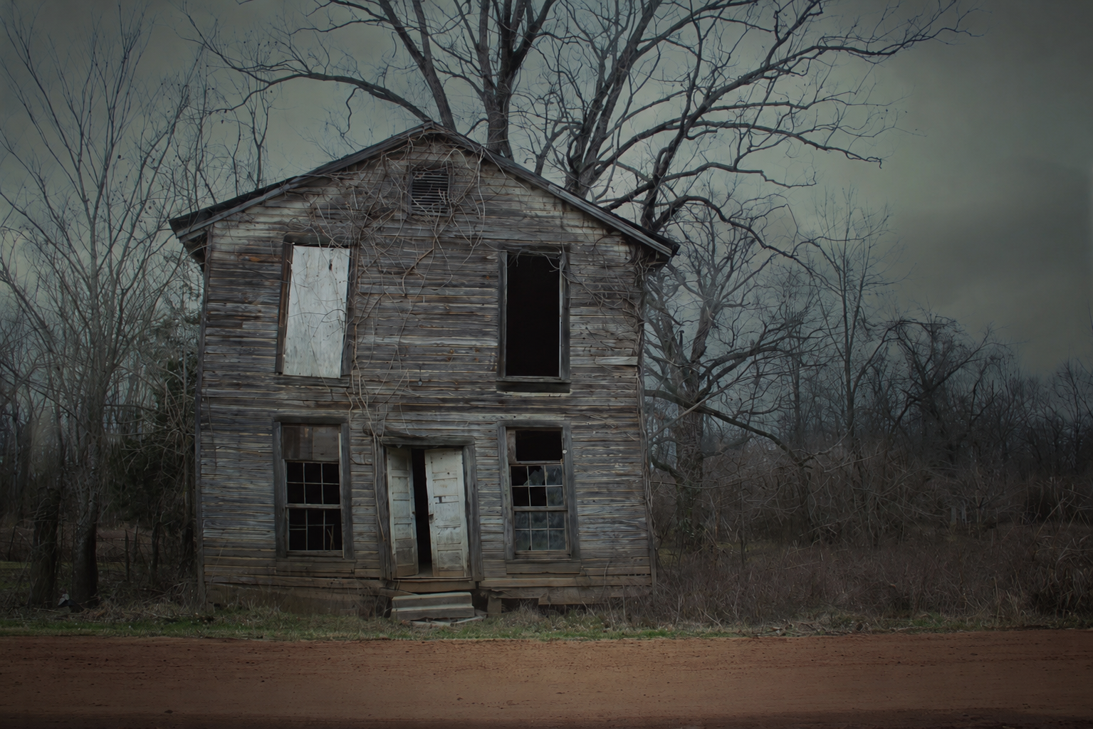 The House That Stayed, Digital Photography, 11 × 17 inches, 2023, Michelle Summers, Birmingham, Alabama, $175