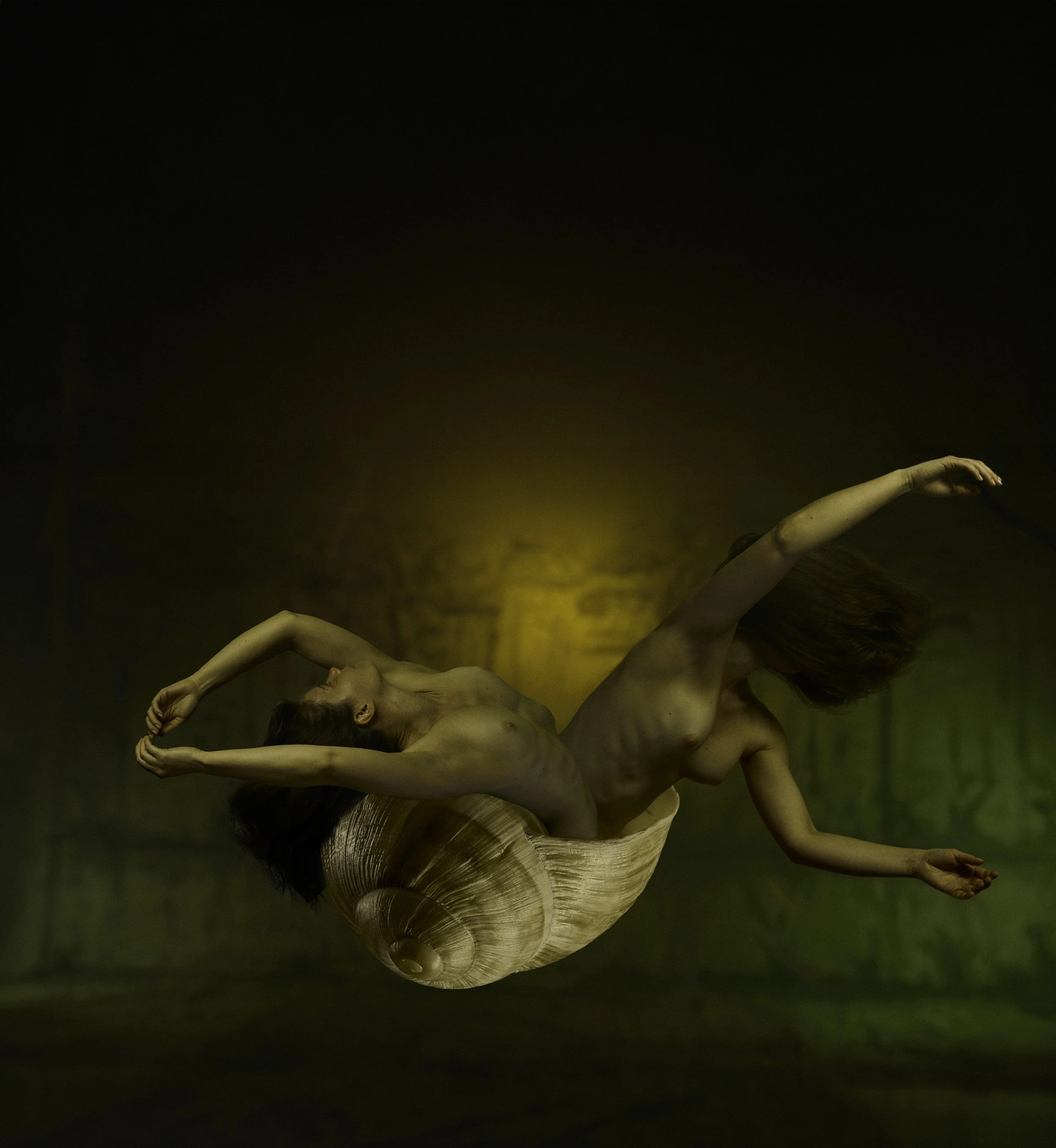 Espirais de Devir No. 2, archival print, 42 x 59.4 cm, 2022, $500, © Ricardo de Vicq de Cumptich, São Paulo, Brazil