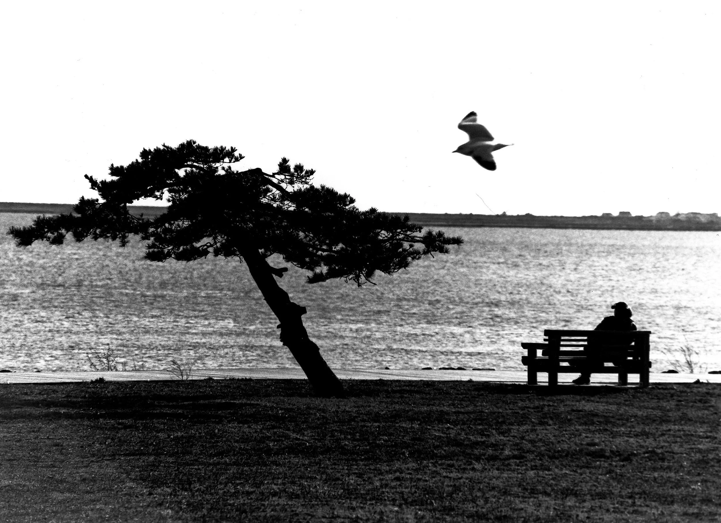 You’ll Go Your Way and I’ll Go Mine, silver gelatin print, 15 x 20 in, $400, 2018, © Howard Pohl, Lindenhurst, New York