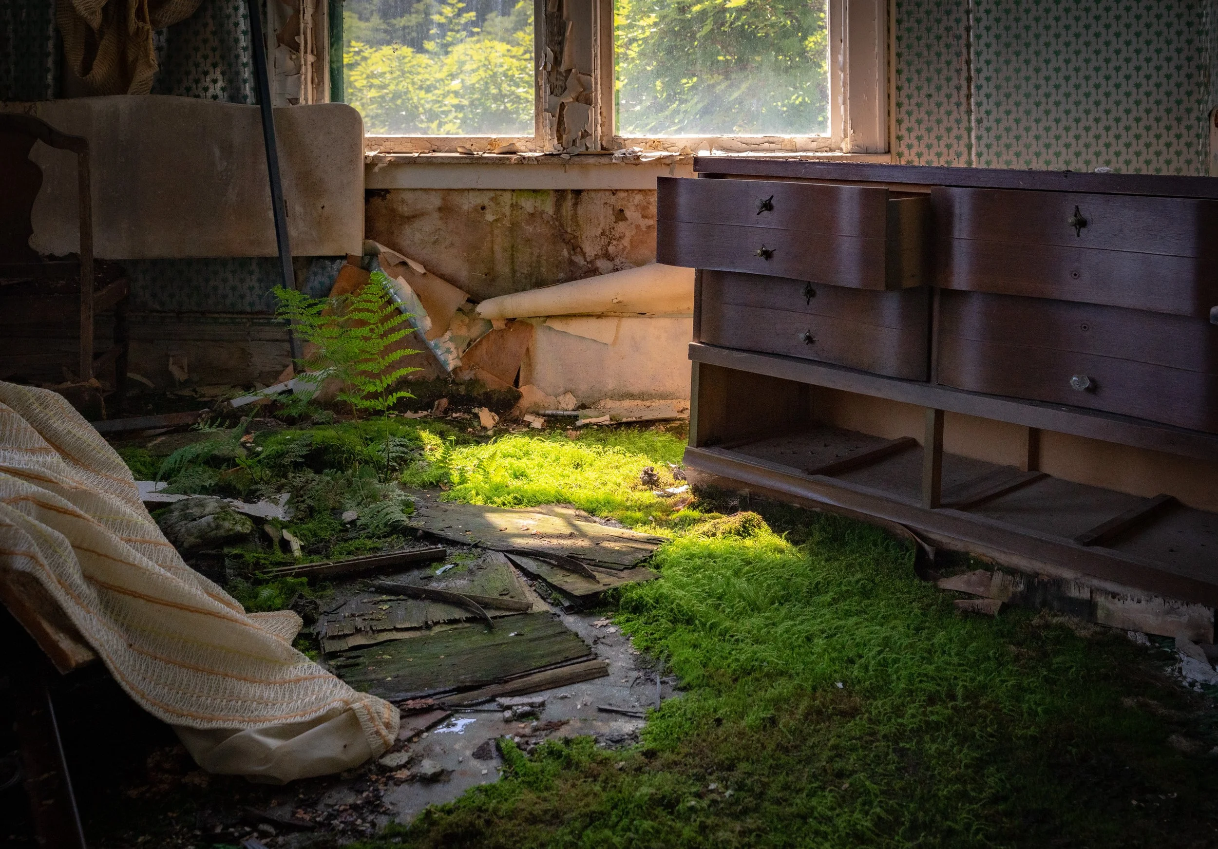 Nature Reclaims Itself, archival print, 16 x 20 in, 2022, $300, Matt Temple, Needham Heights, Massachusetts