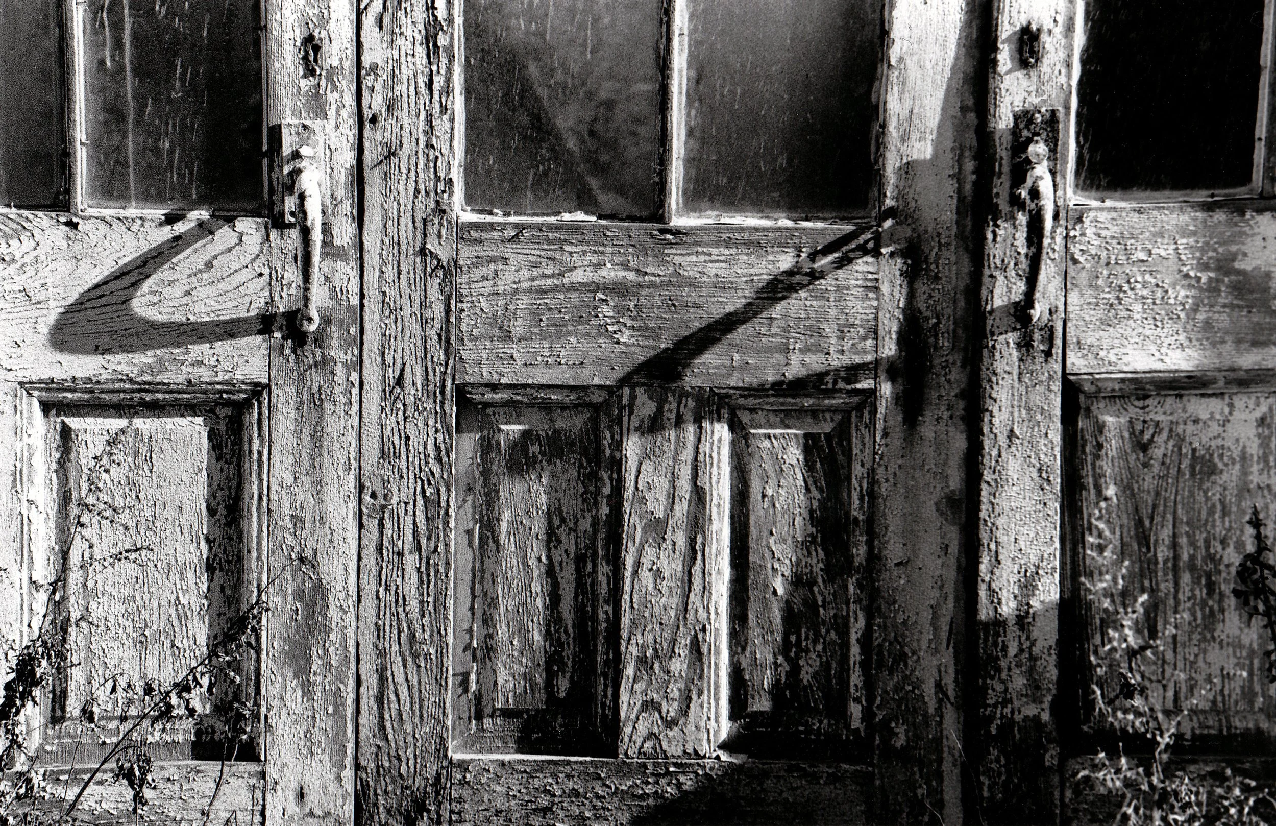 Rose Meadow Farm, Archival photo print, 13" x 20", 2021, $350, Howard Pohl, Lindenhurst, New York