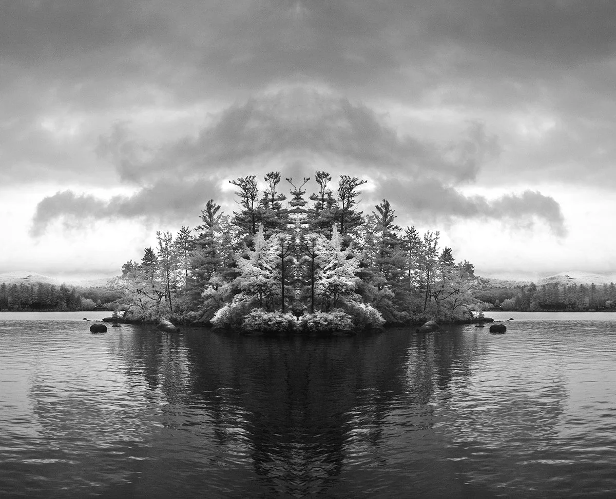 David's Island by Lisa Gizara