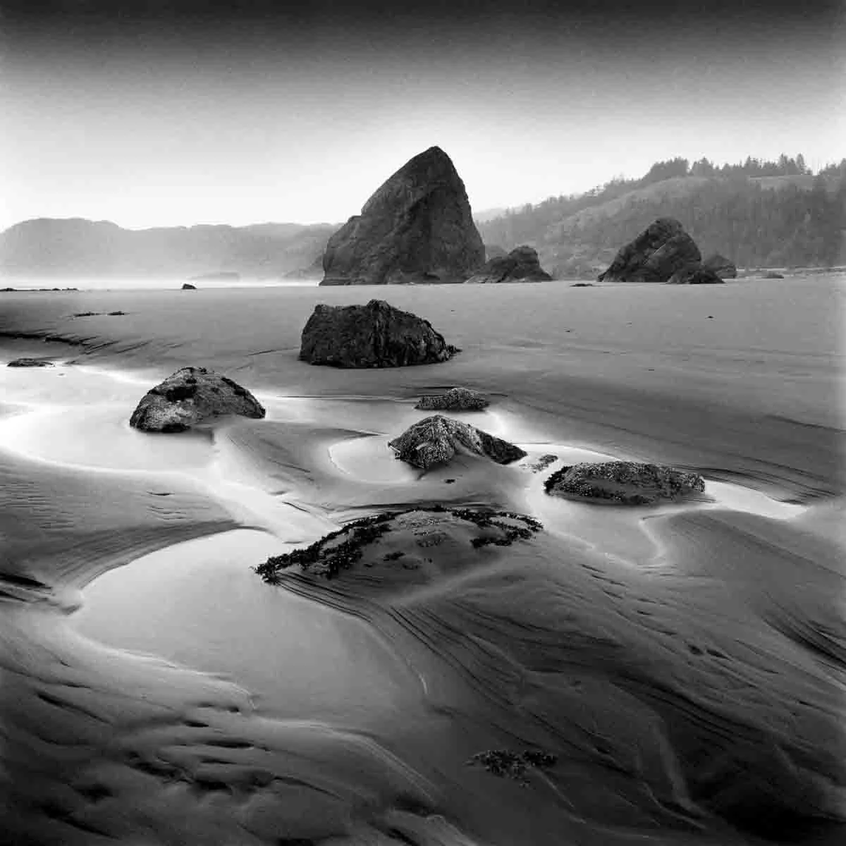 Tide Pools, platinum palladium print, 8 x 8 in, 2023, $400, David Rathbone, Virginia Beach, Virginia