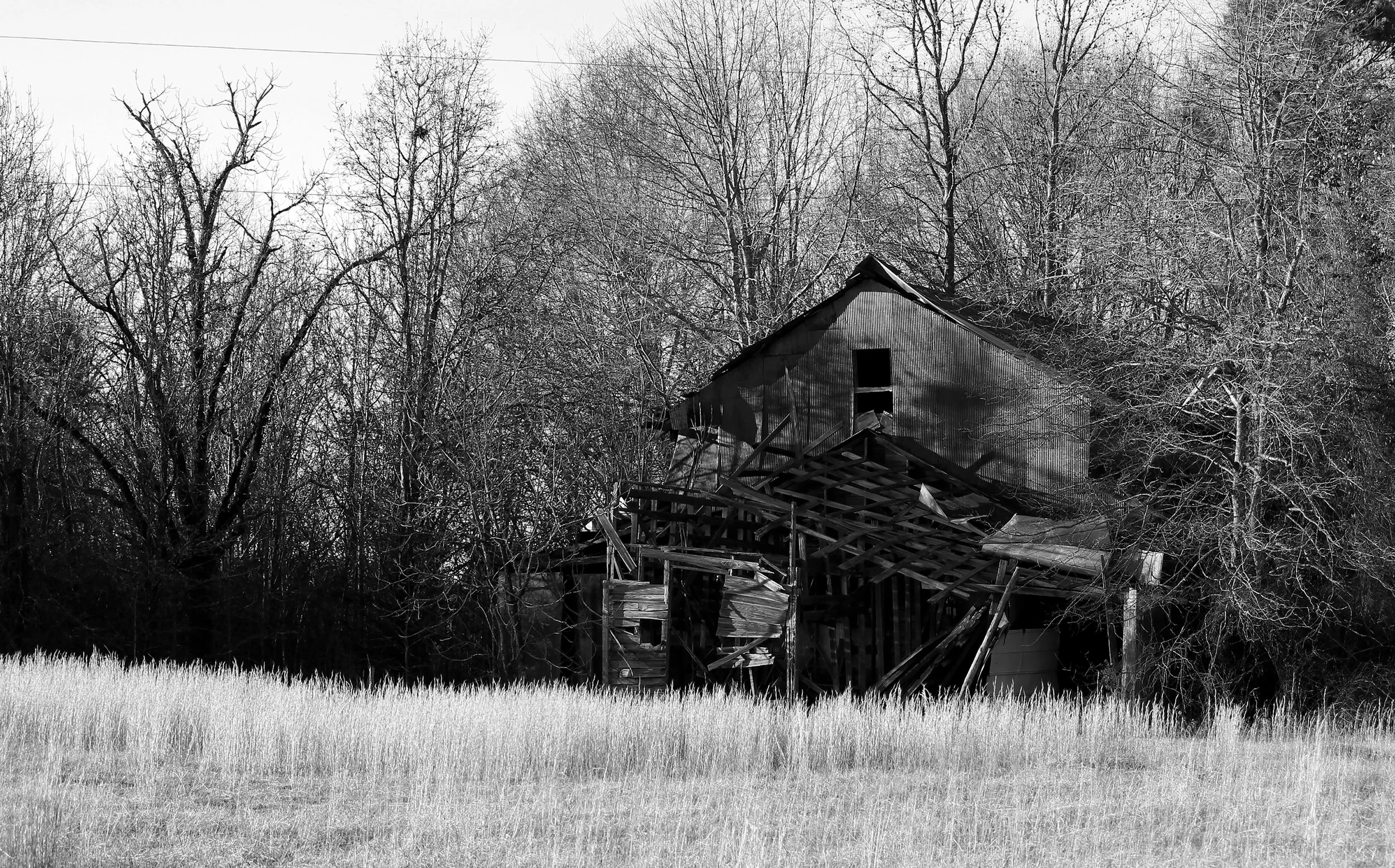 A Barn, Obscured, Archival photo print, 22.5" x 14", 2022, Mackenlee Martin, Cowpens, South Carolina