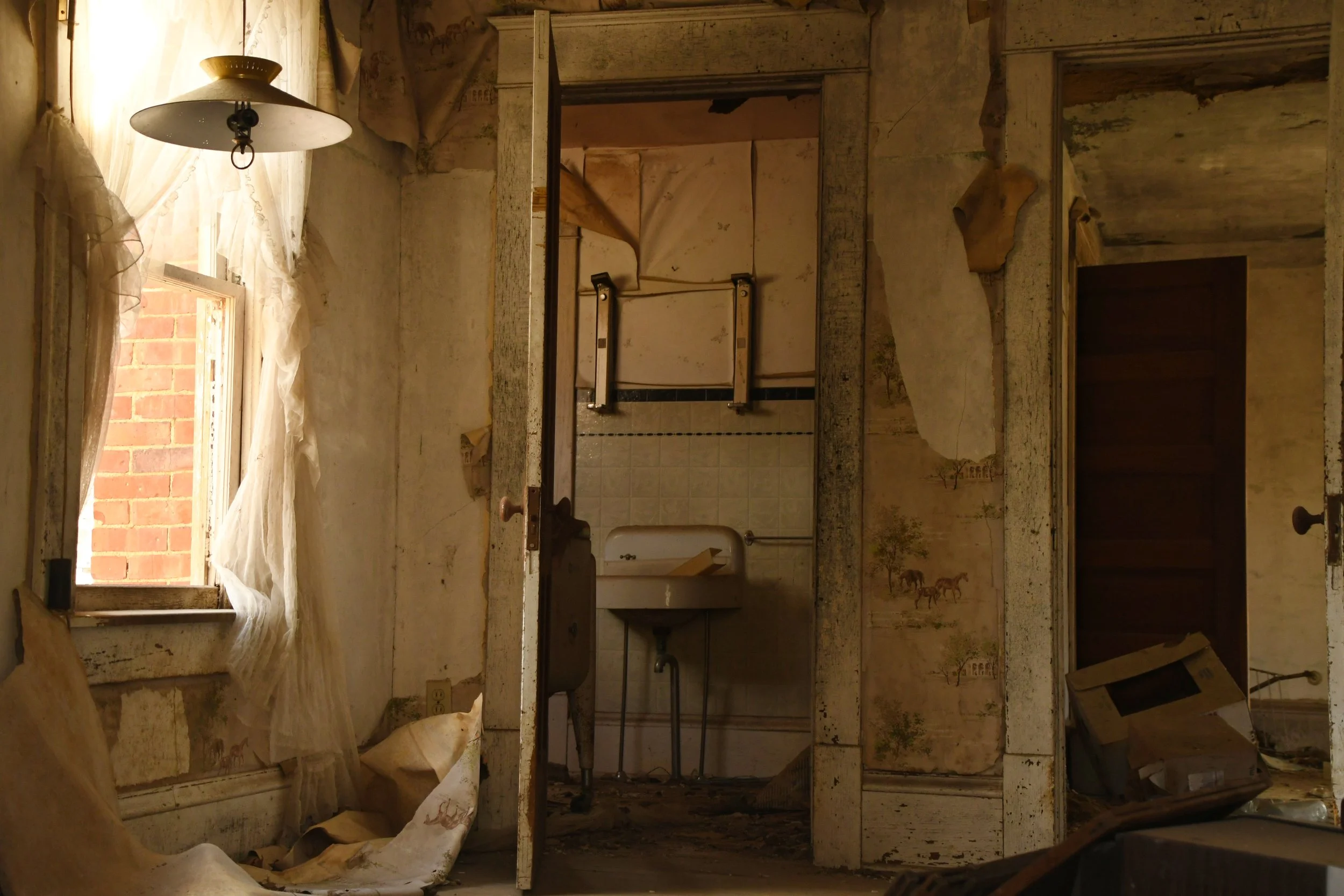 Wilting Walls, archival print, 18 x 12 in, $150, 2025, © Andrea Moore, Howard, Ohio