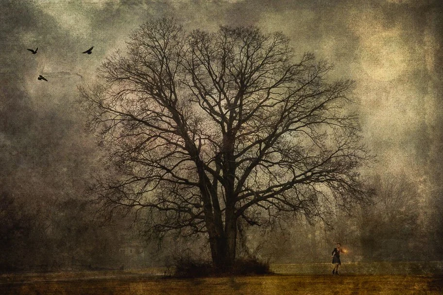 Nanci_Hellmuth_ Night Terrors_03.jpg