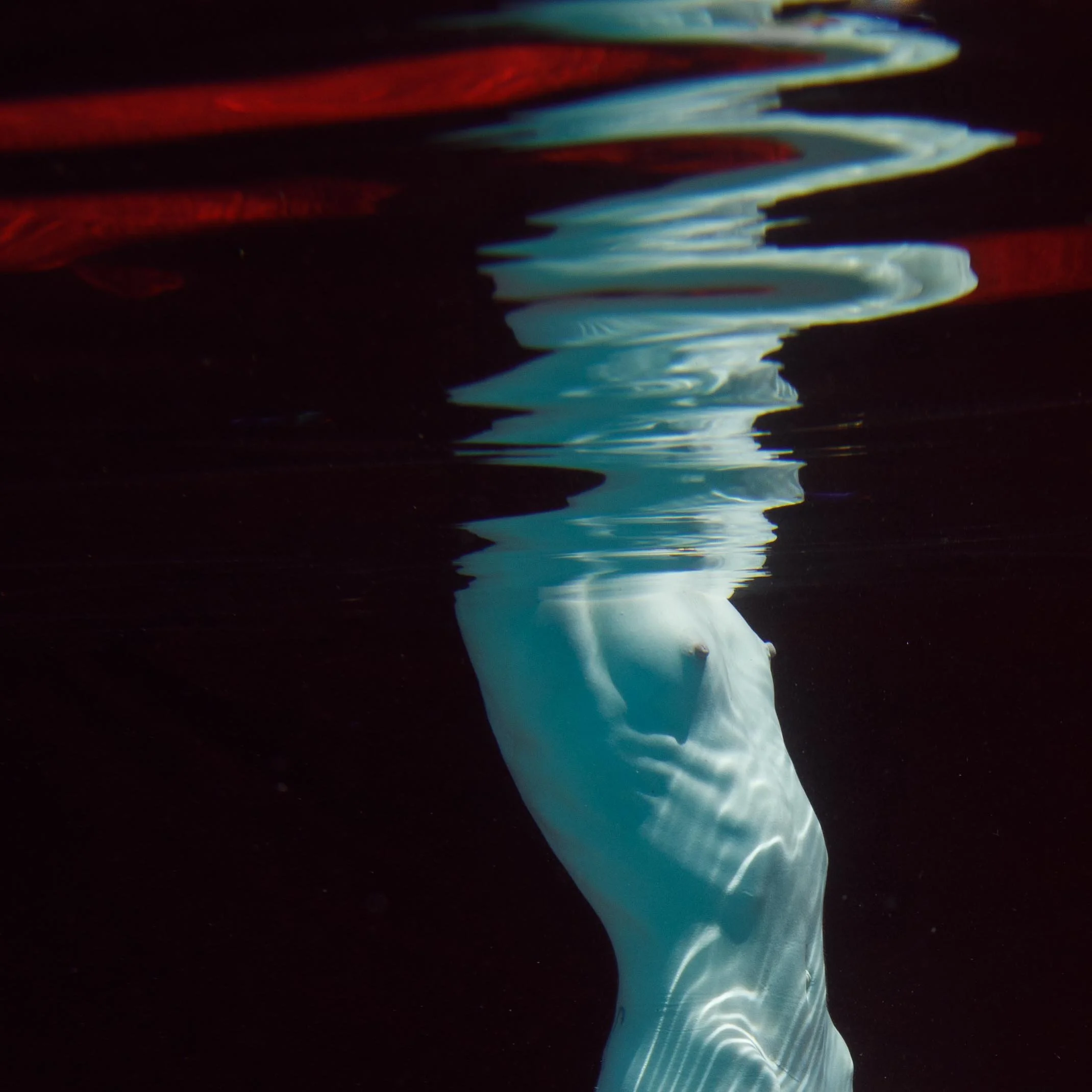 Creation, archival print, 6 x 16 in, 2023, $350, © Dan Katz, Northridge, California