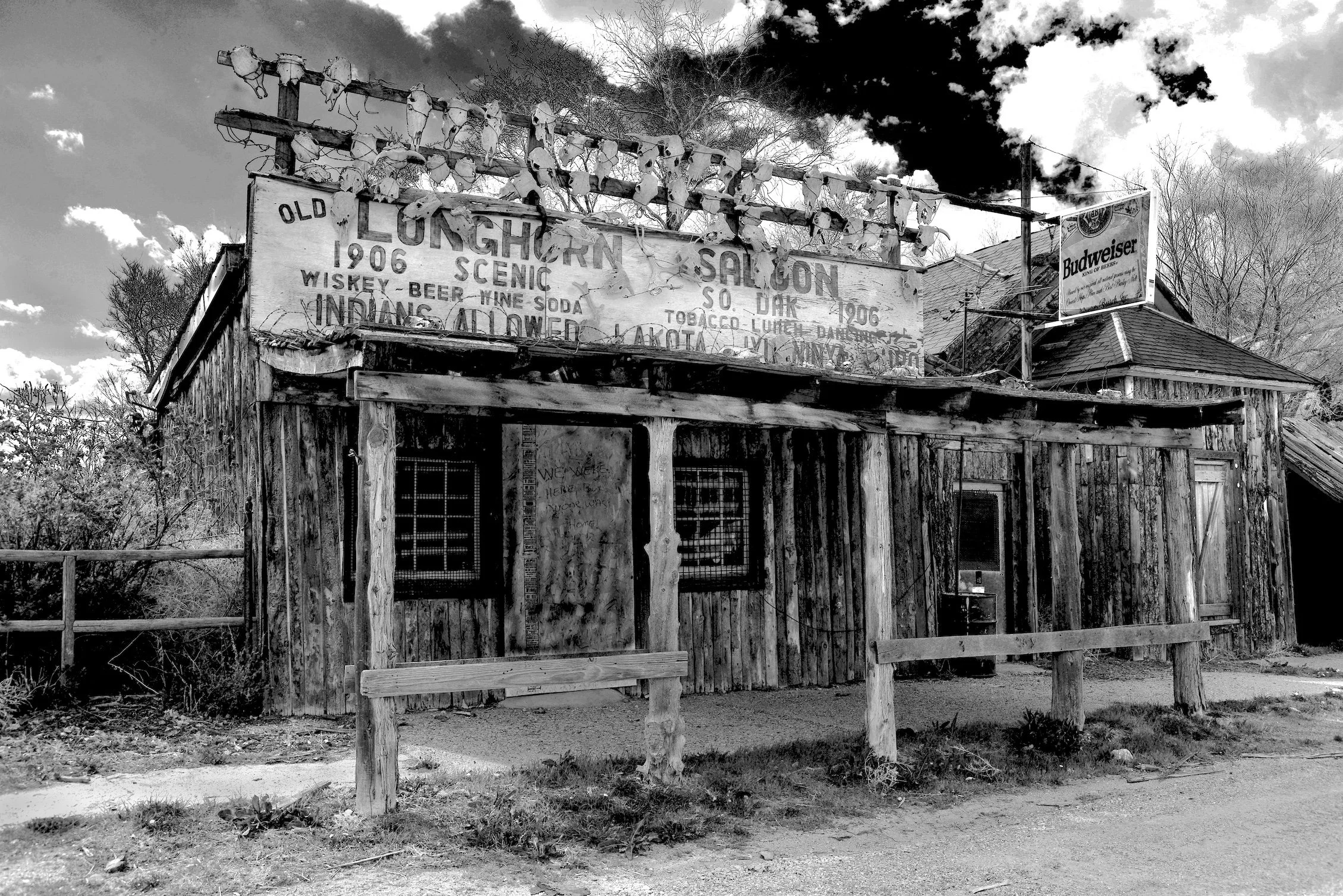 The Longhorn, archival print, 48 x 36 in, 2015, $1200, Ben De Marco, Whitehouse Station, New Jersey