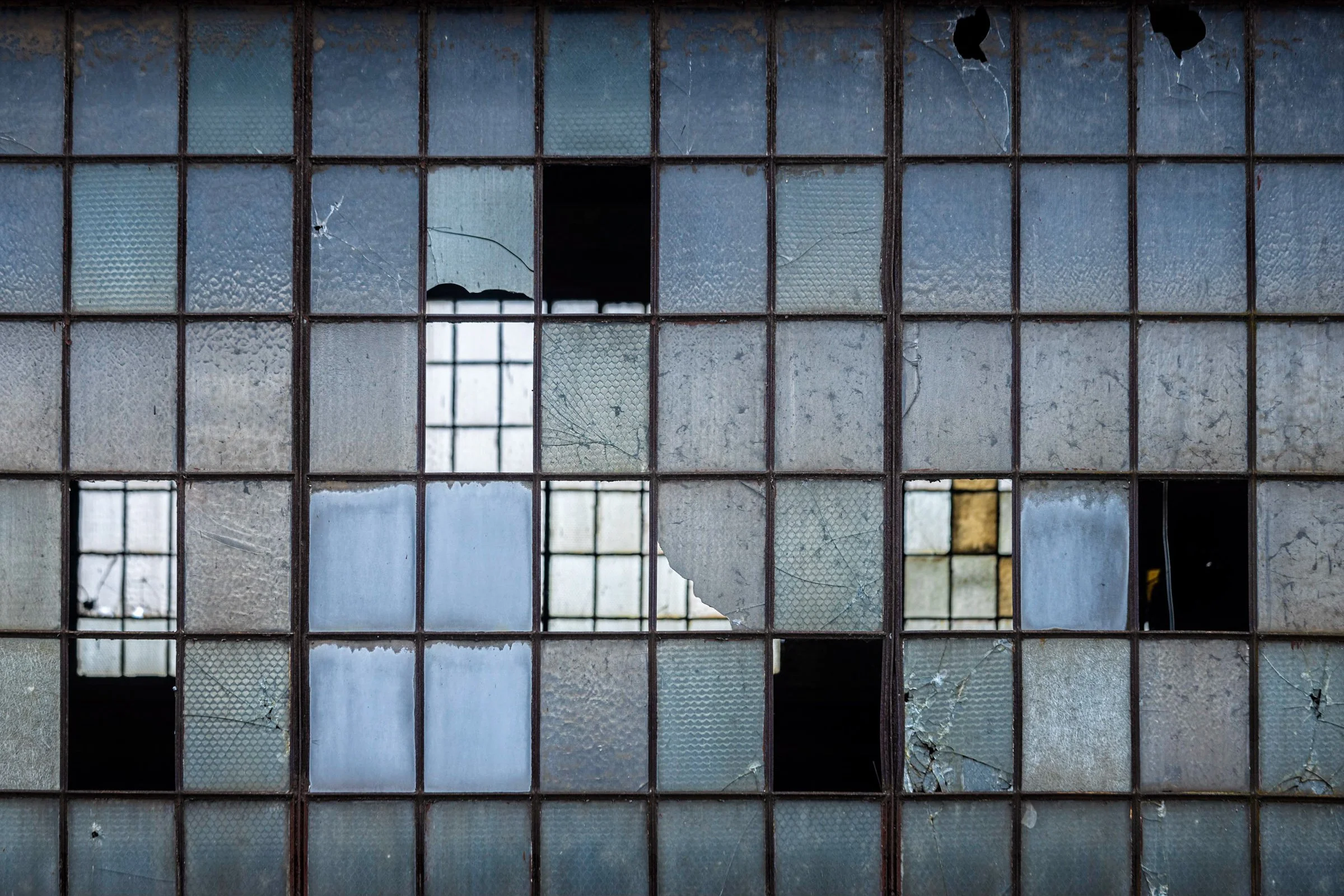 Screen, Archival photo print, 12" x 18", $300, Danielle Austen, Hillsborough, Pennsylvania