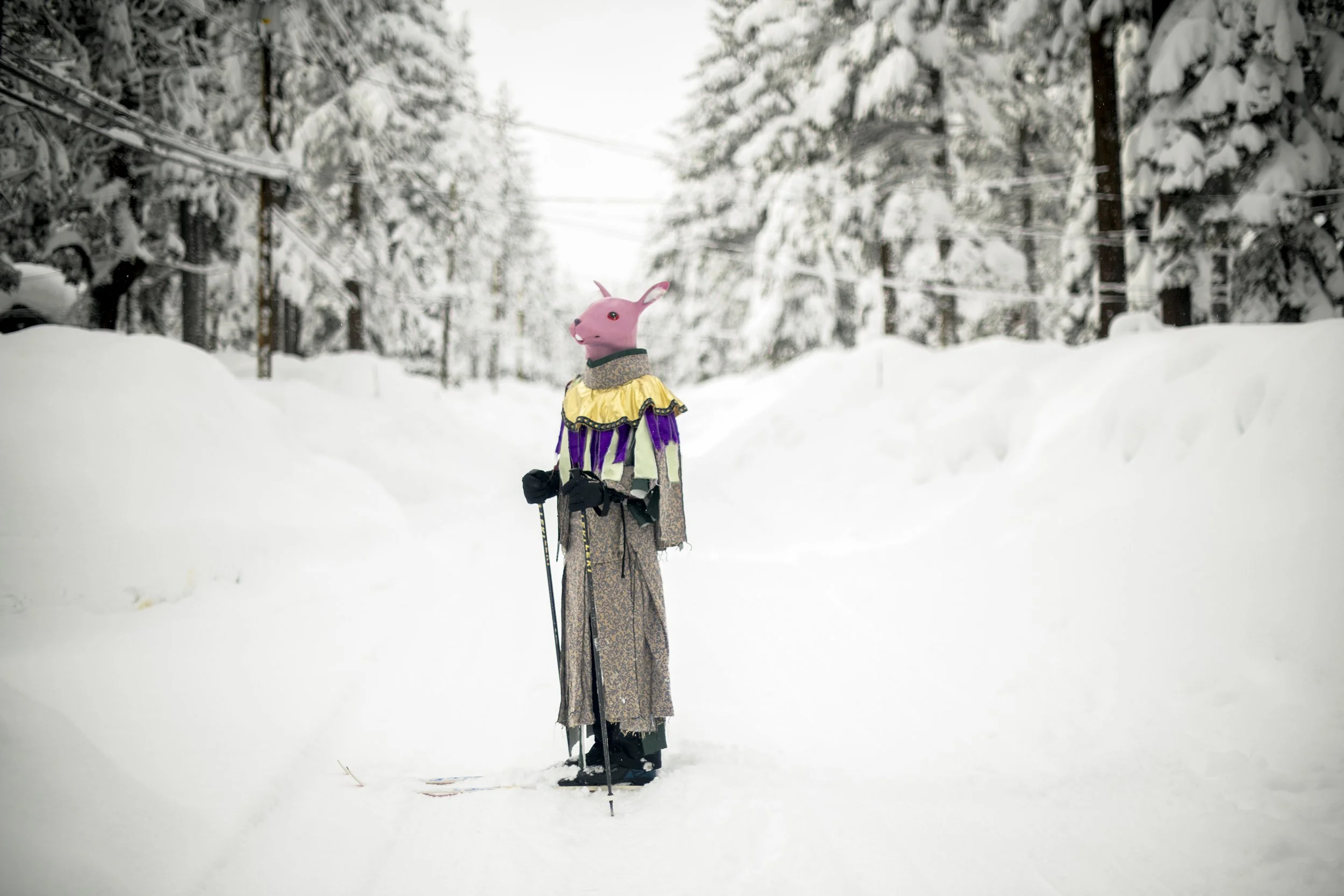 Bernese Lane, Truckee, CA by Paula Bragado