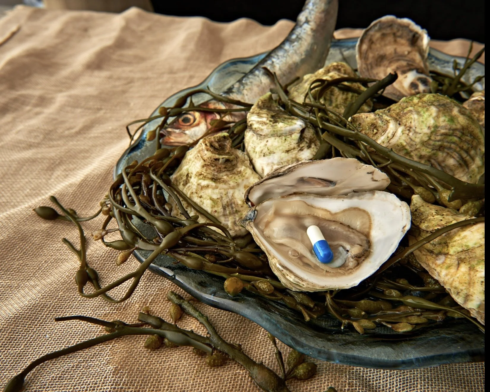 Bivalvium, photo transfer on metal, 16 x 20 in, 2016, $650, © Mark Shaw, New York, New York