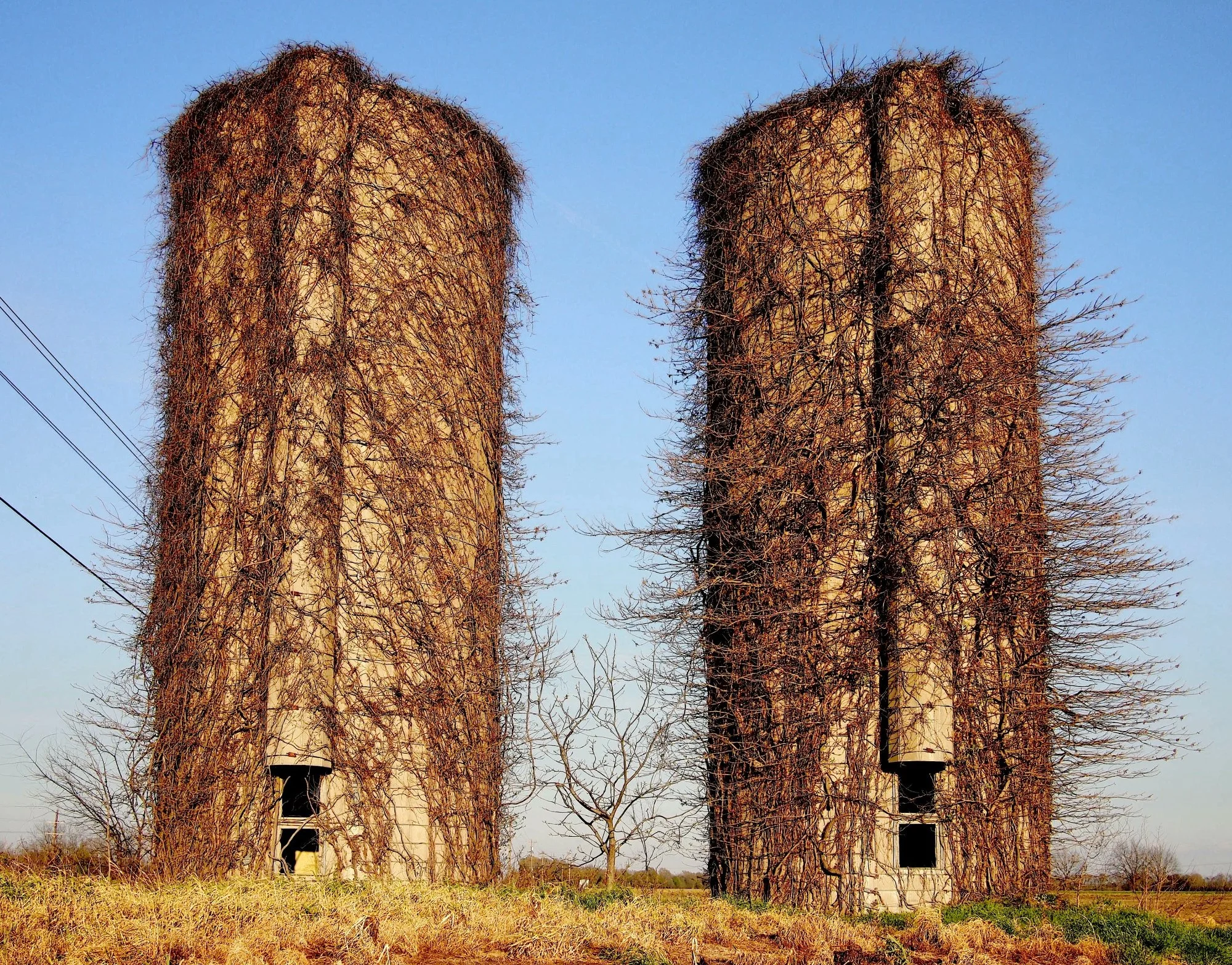 Former Silos, archival print, 16 x 20 in, $250, 2019, © Chris Offutt, Iowa City, Iowa