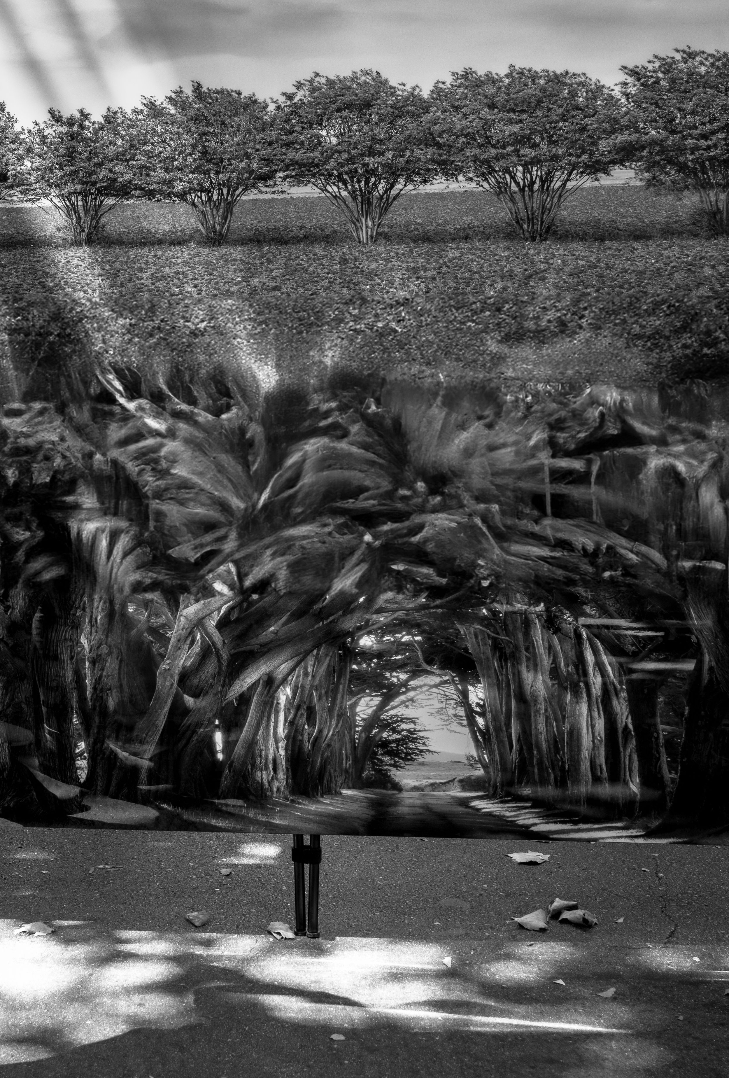 Underworld, archival print, 11 x 16 in, 2025, $400, © Wright Schickli, Palo Alto, California