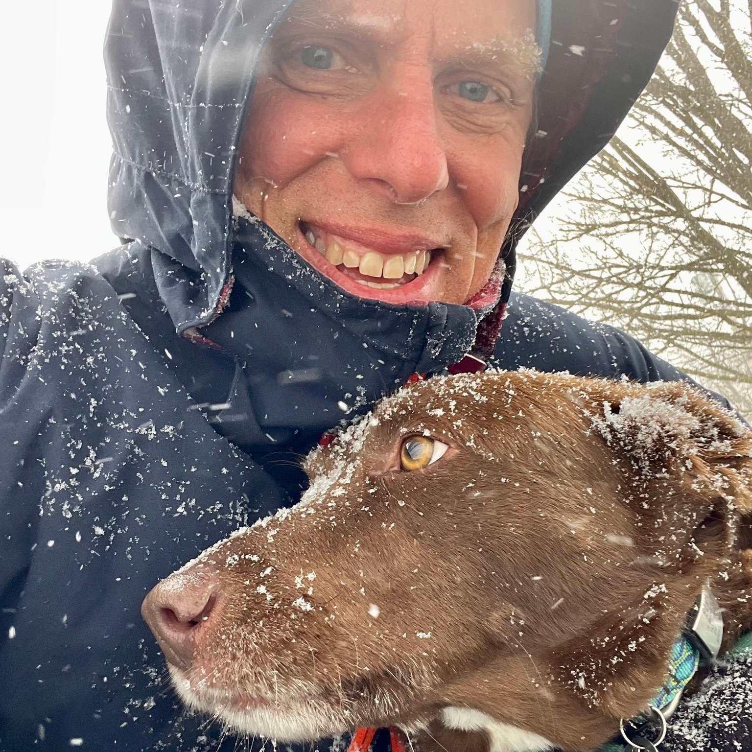Sense of humor about the weather is required this time of year.
#almostspring