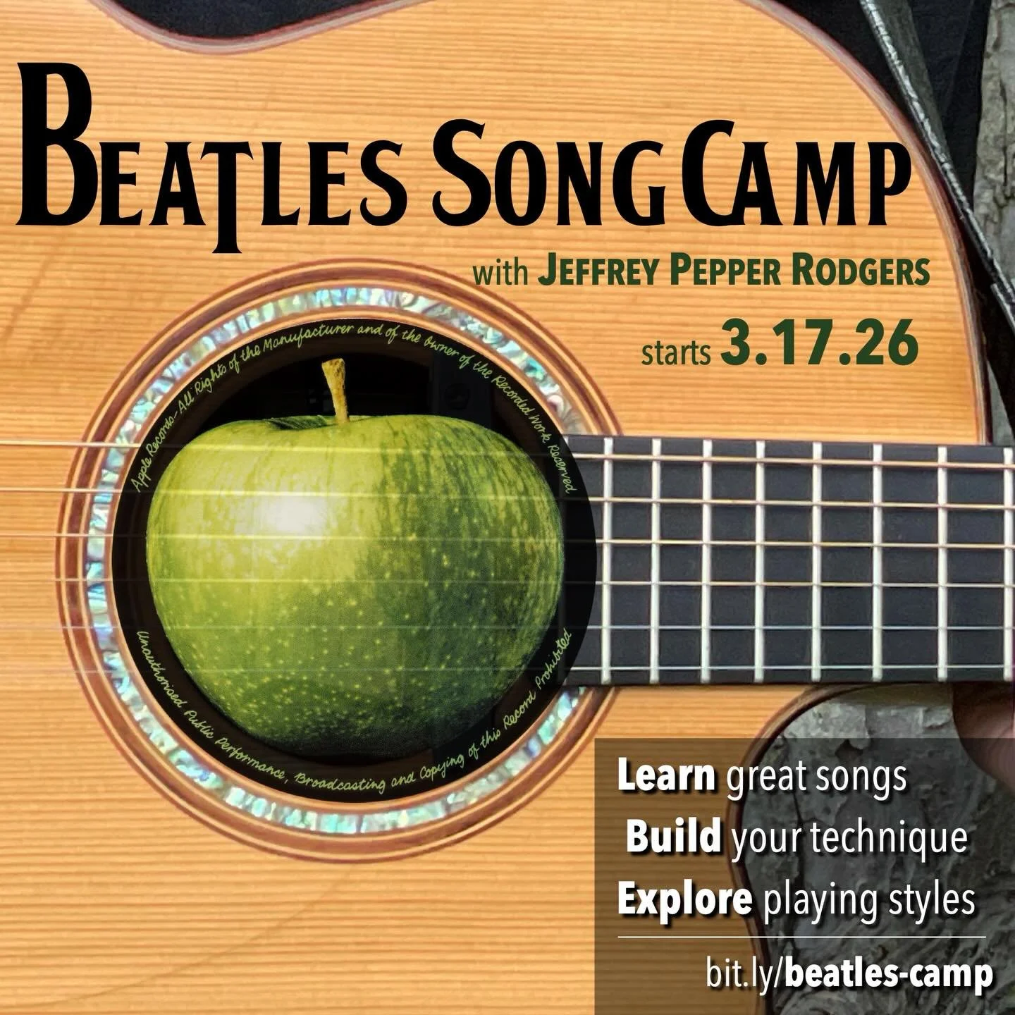 Who wants to deep-dive into Beatles songs with me? Learn one song a week and discover how to bring it to life on acoustic guitar.
Beatles Song Camp starts 3.17. 
bit.ly/beatles-camp

#beatles #acousticguitar #guitarworkshop #onlineworkshop #beatlesca
